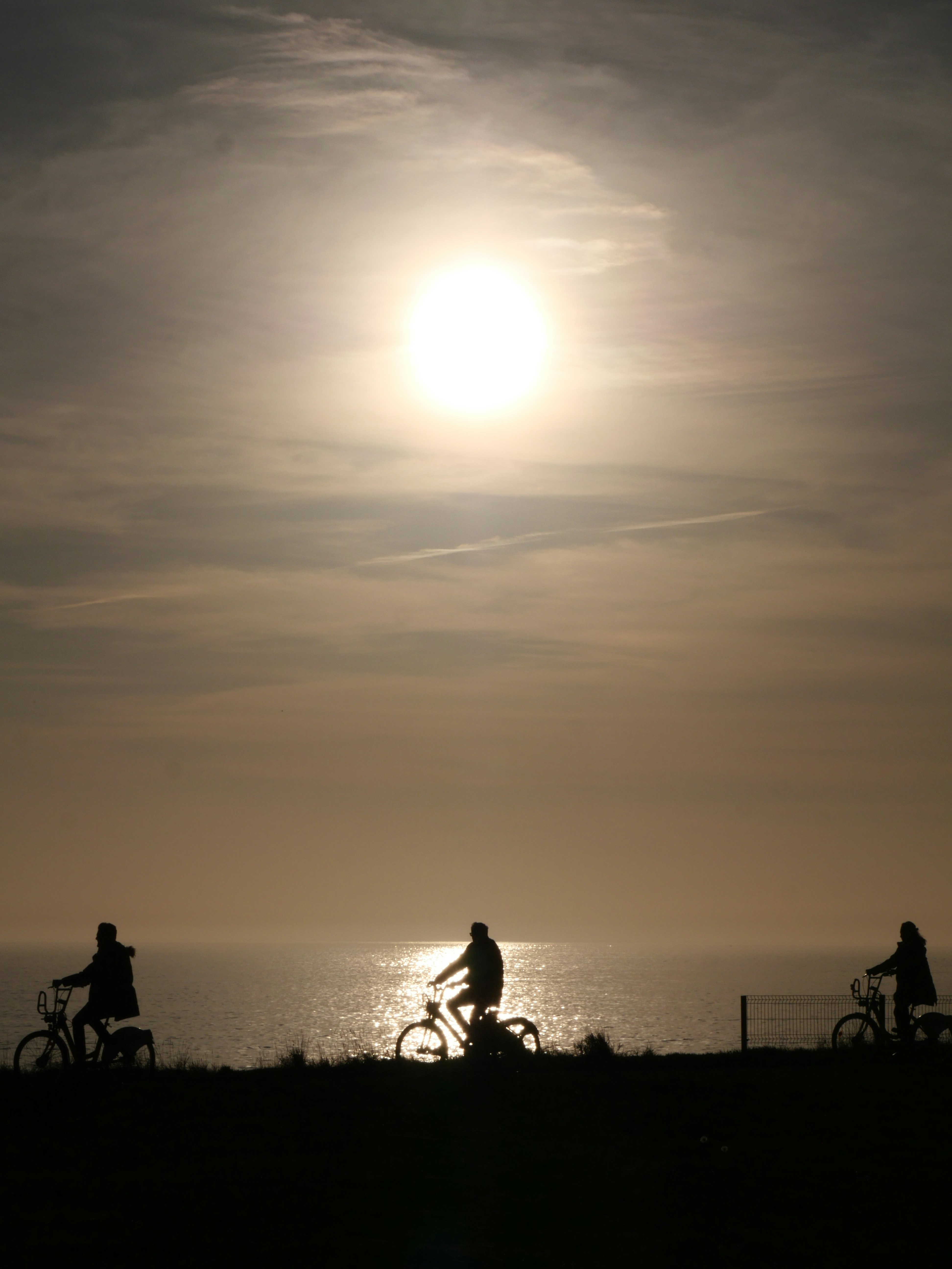 Photo by nimbus_vulpis