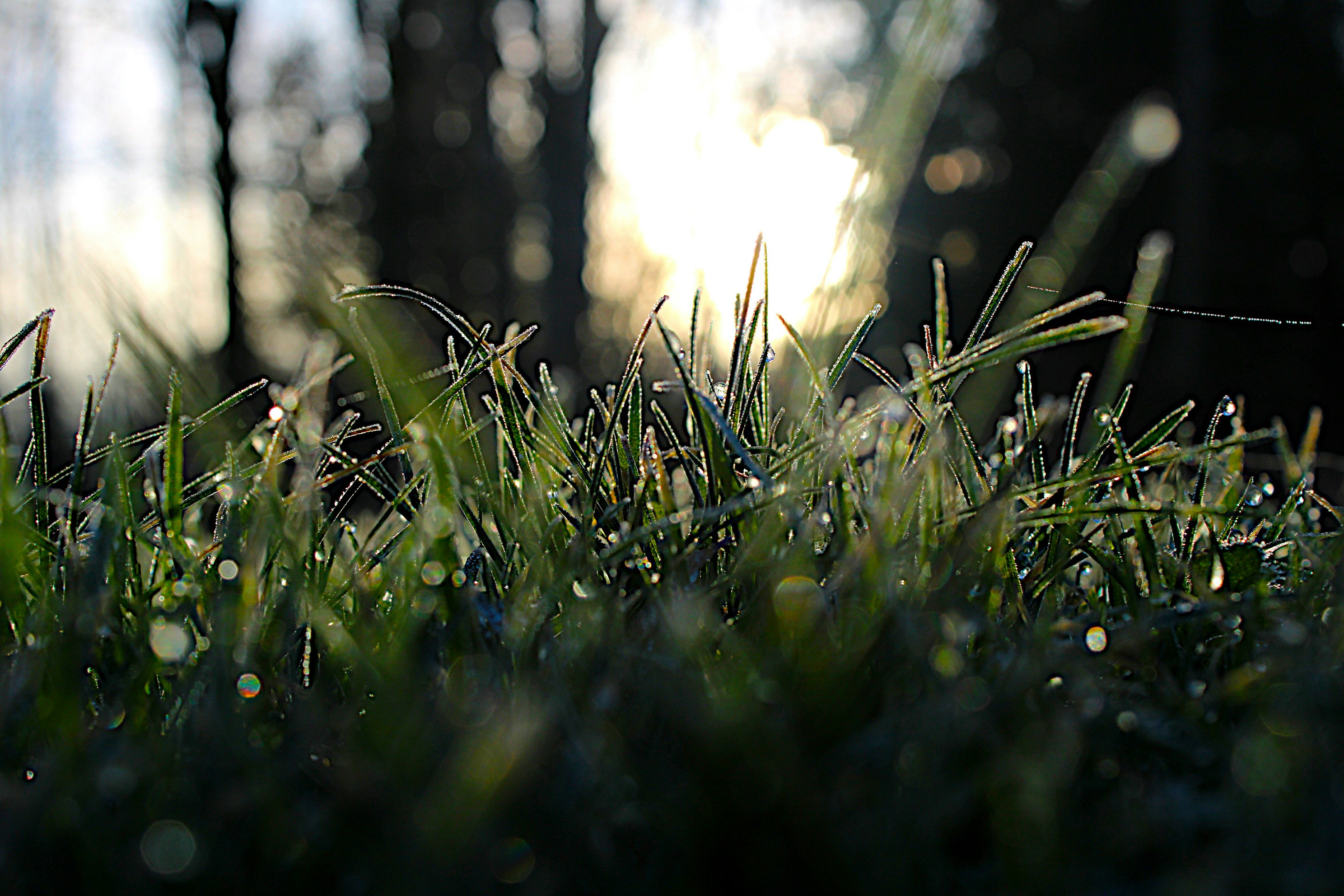 Photo by isaacstevenlind