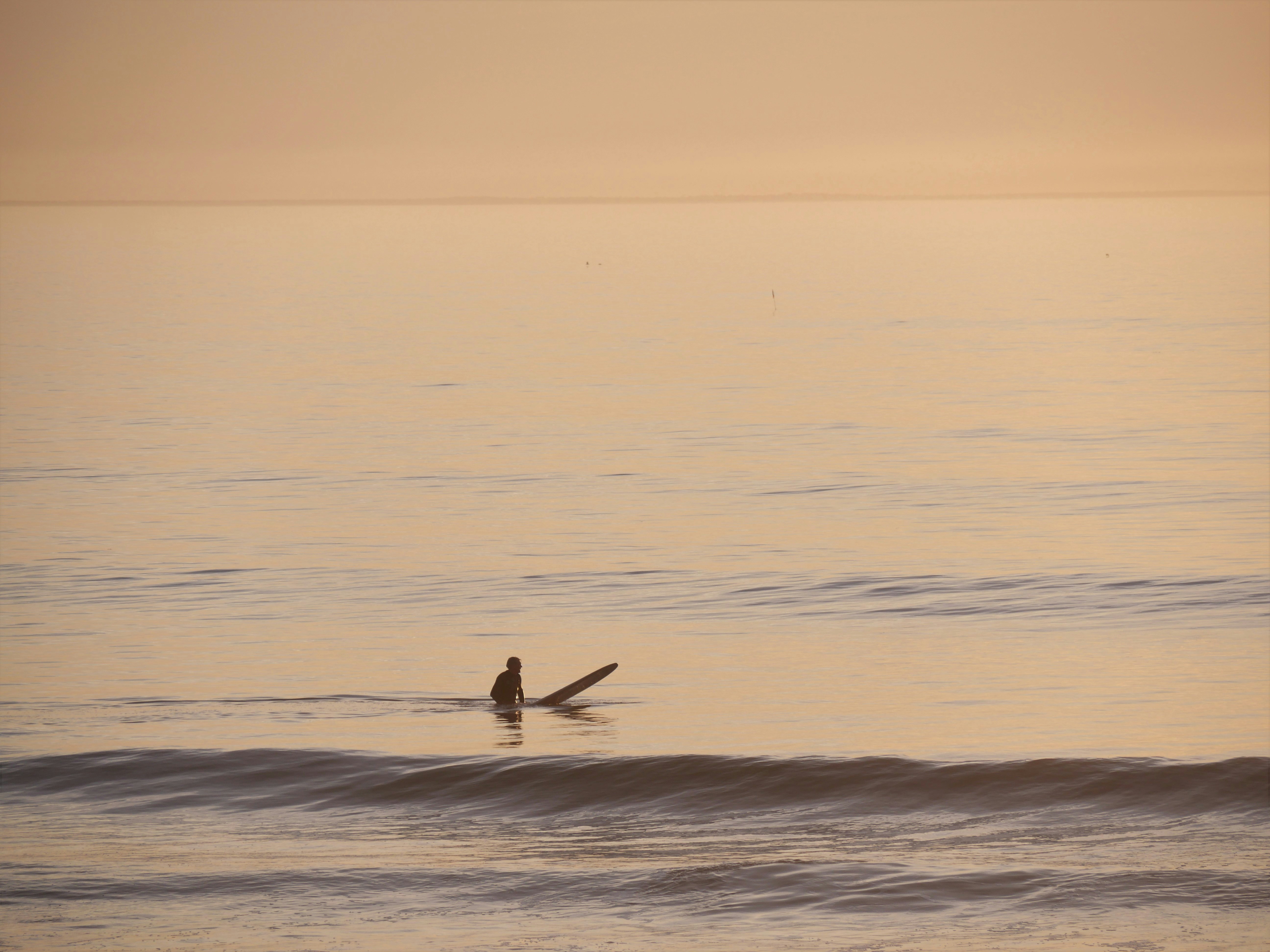 Photo by nimbus_vulpis