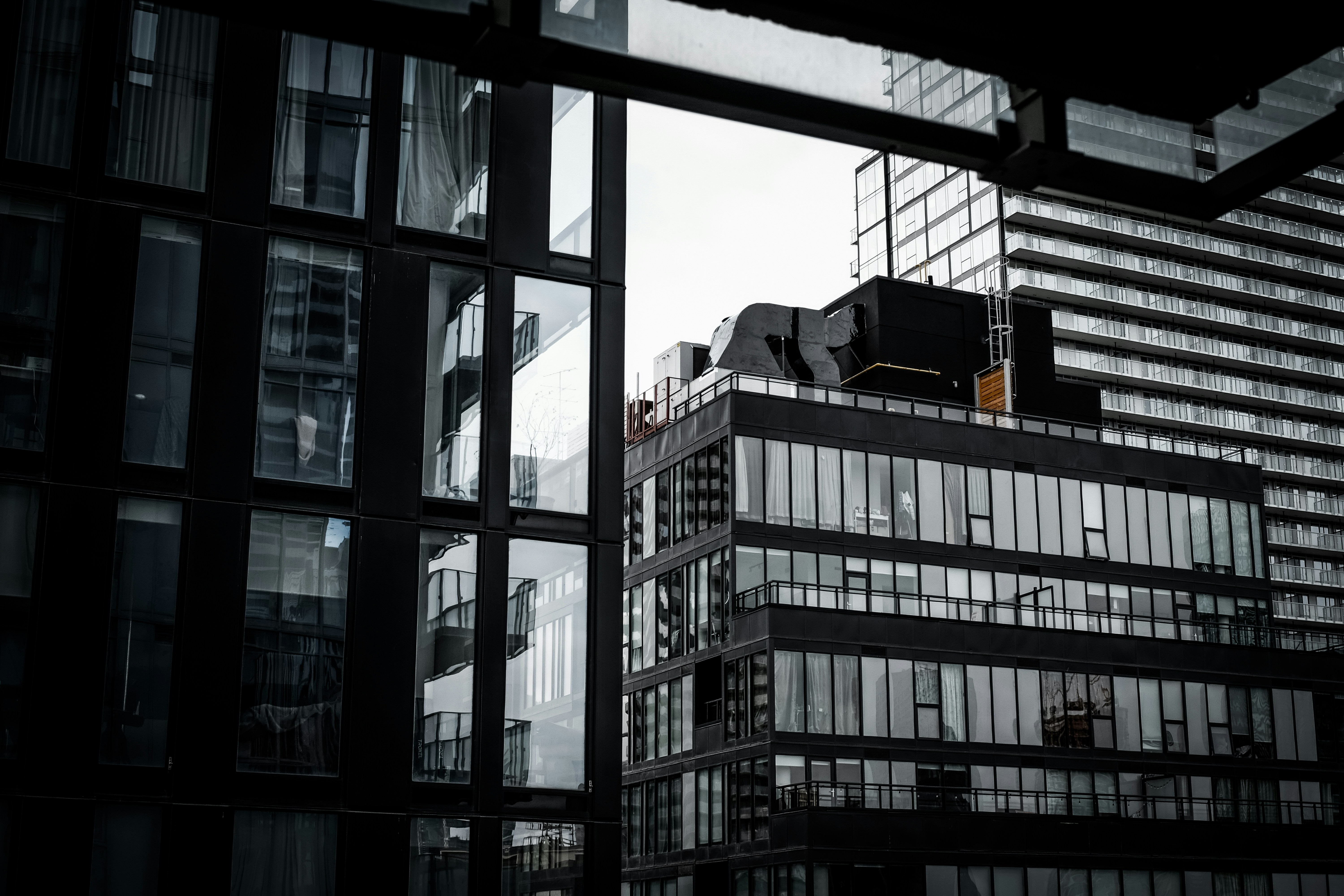 Photo by kartoffel_liu