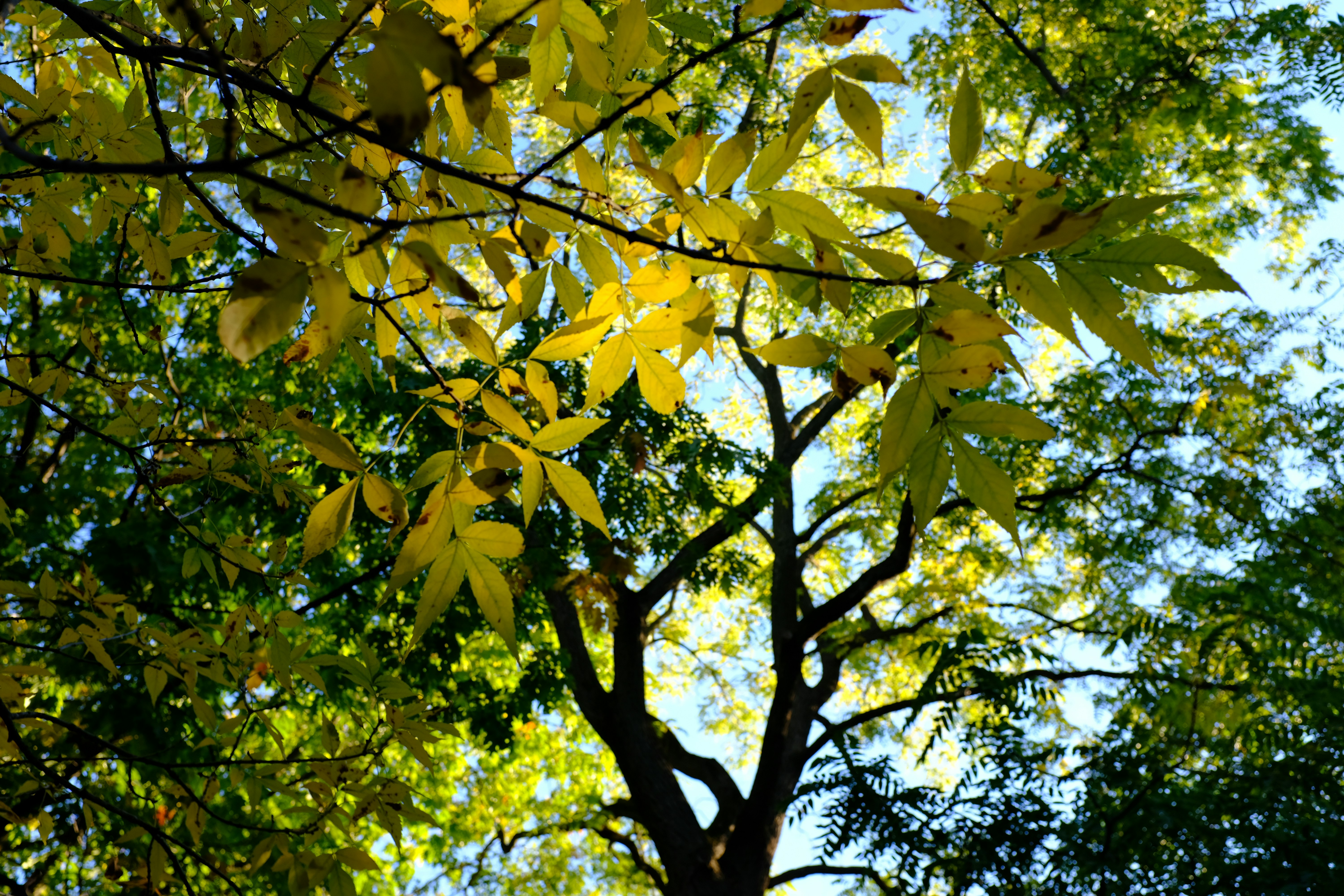 Photo by kartoffel_liu