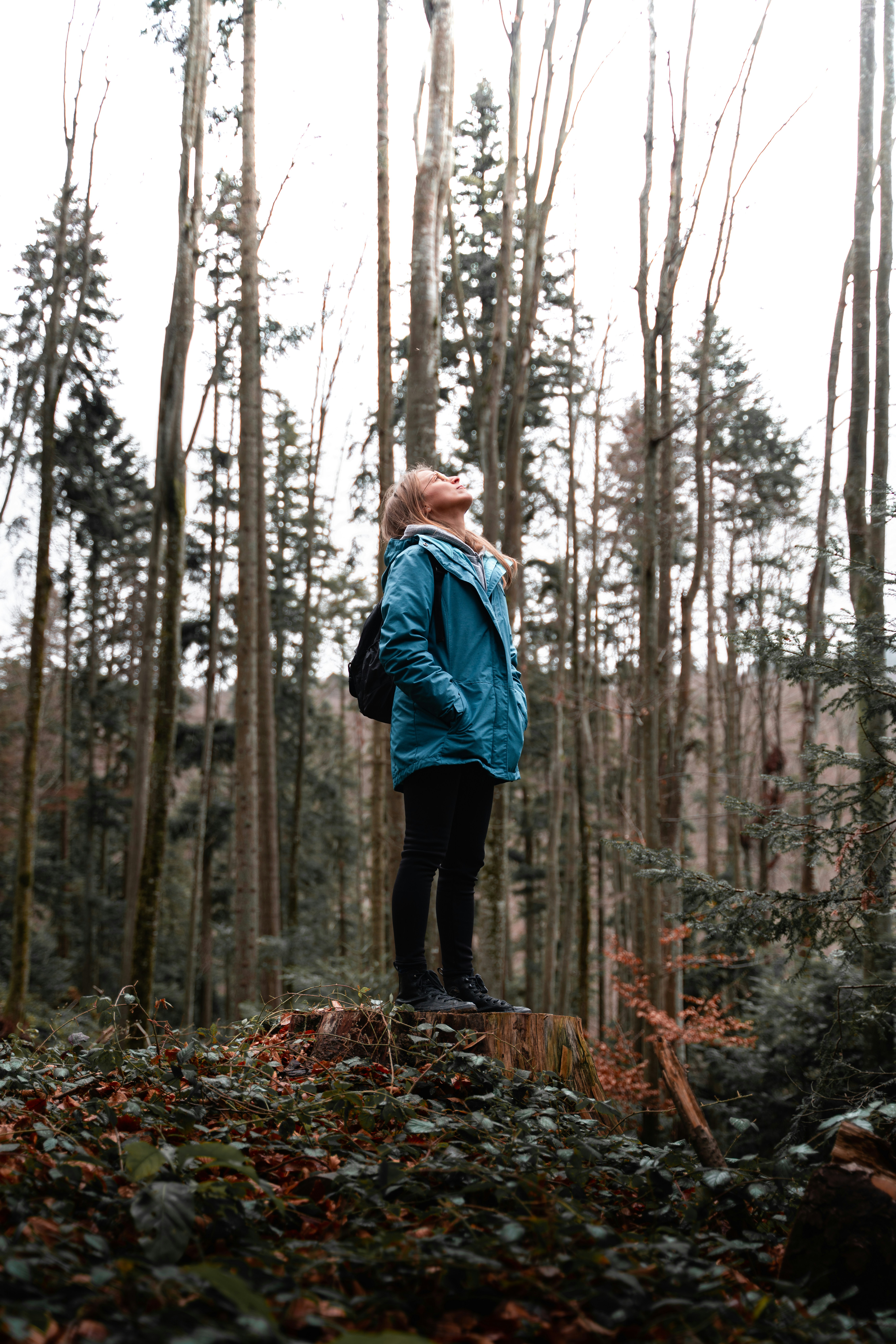 Photo by djordjevukojicic