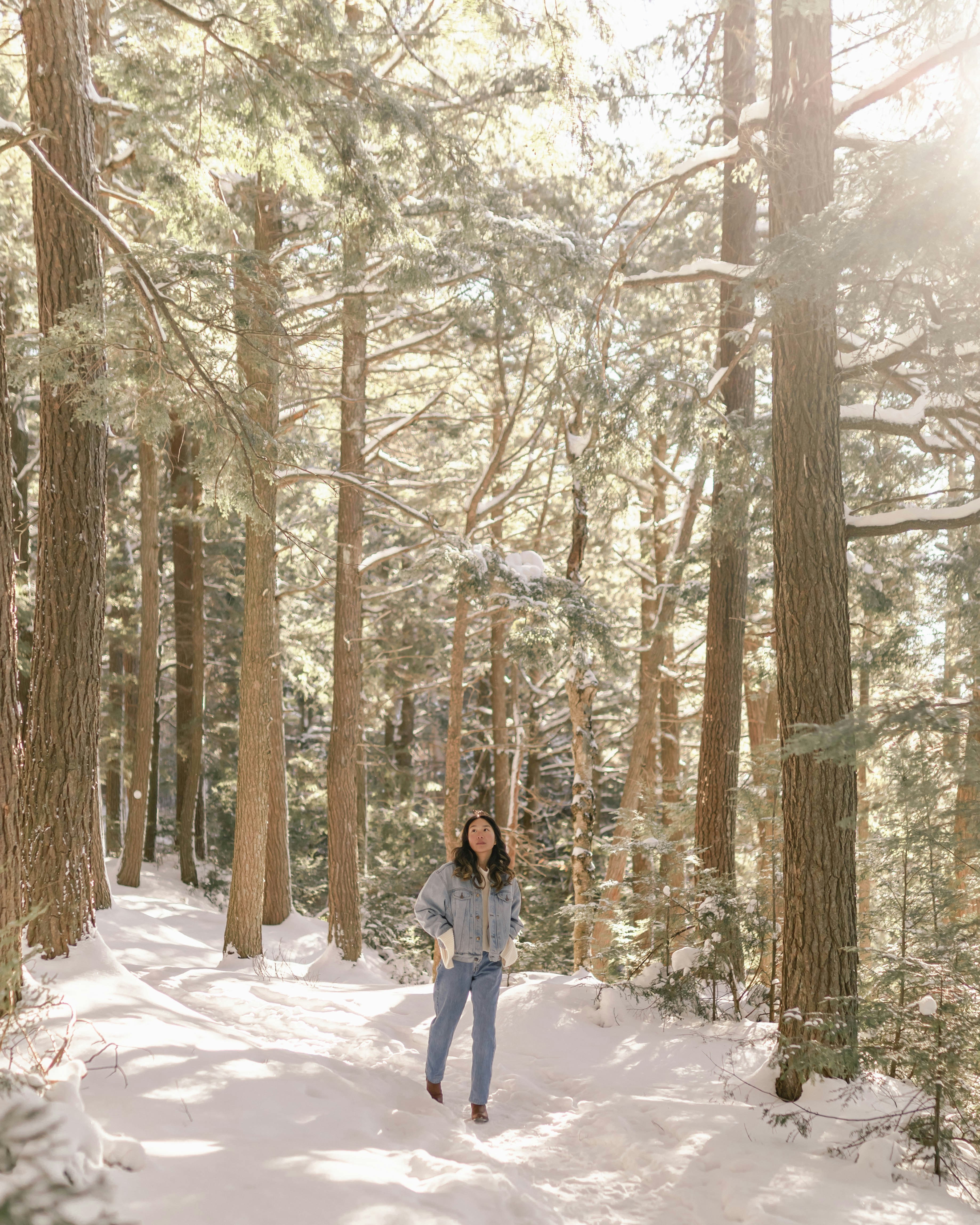 Photo by majestical_jasmin