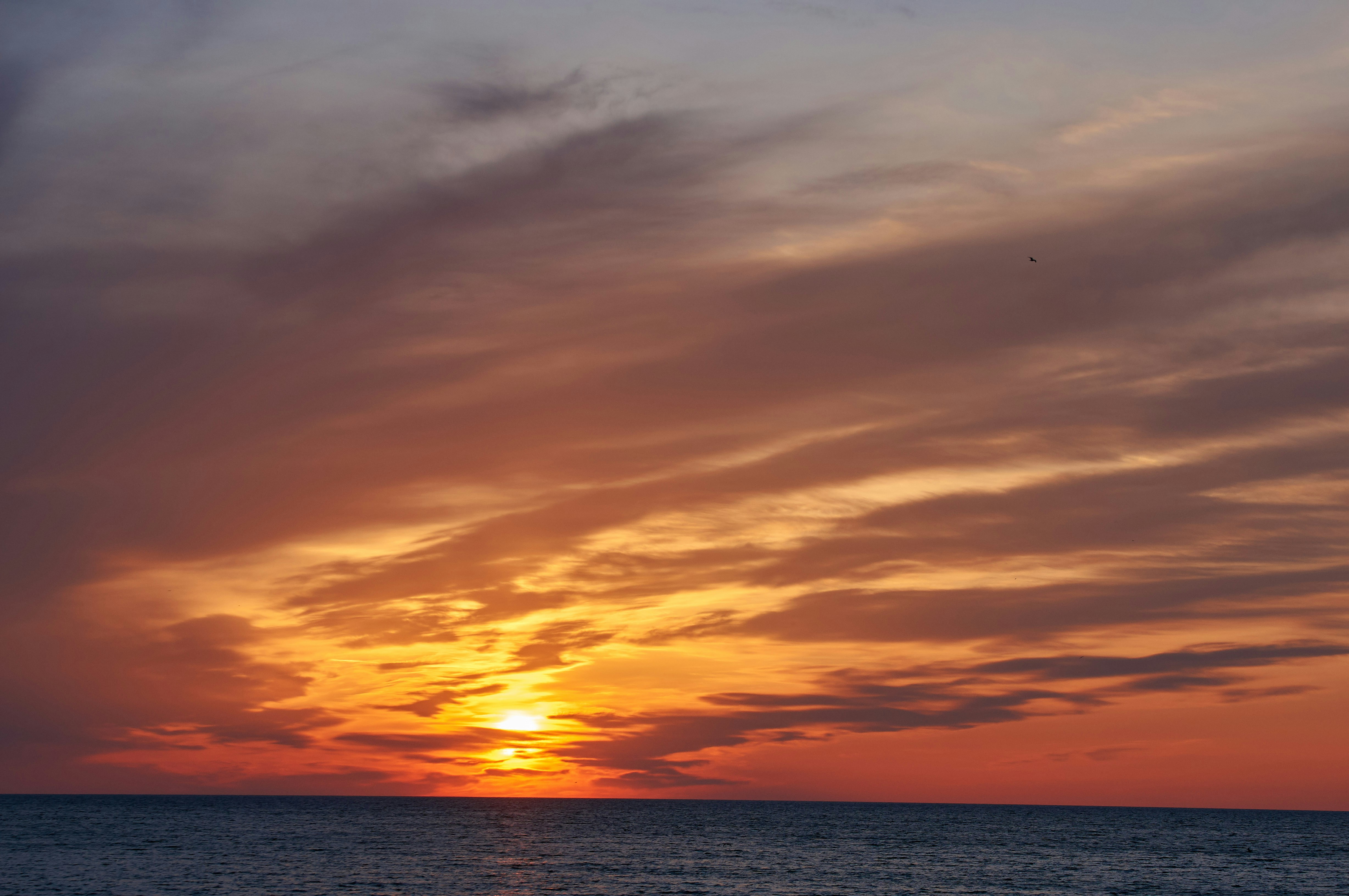 Photo by wolfgang_hasselmann