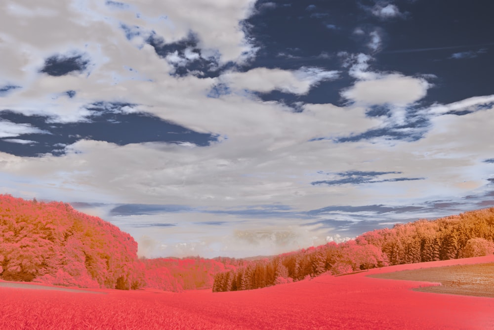 a red field with trees and clouds in the background