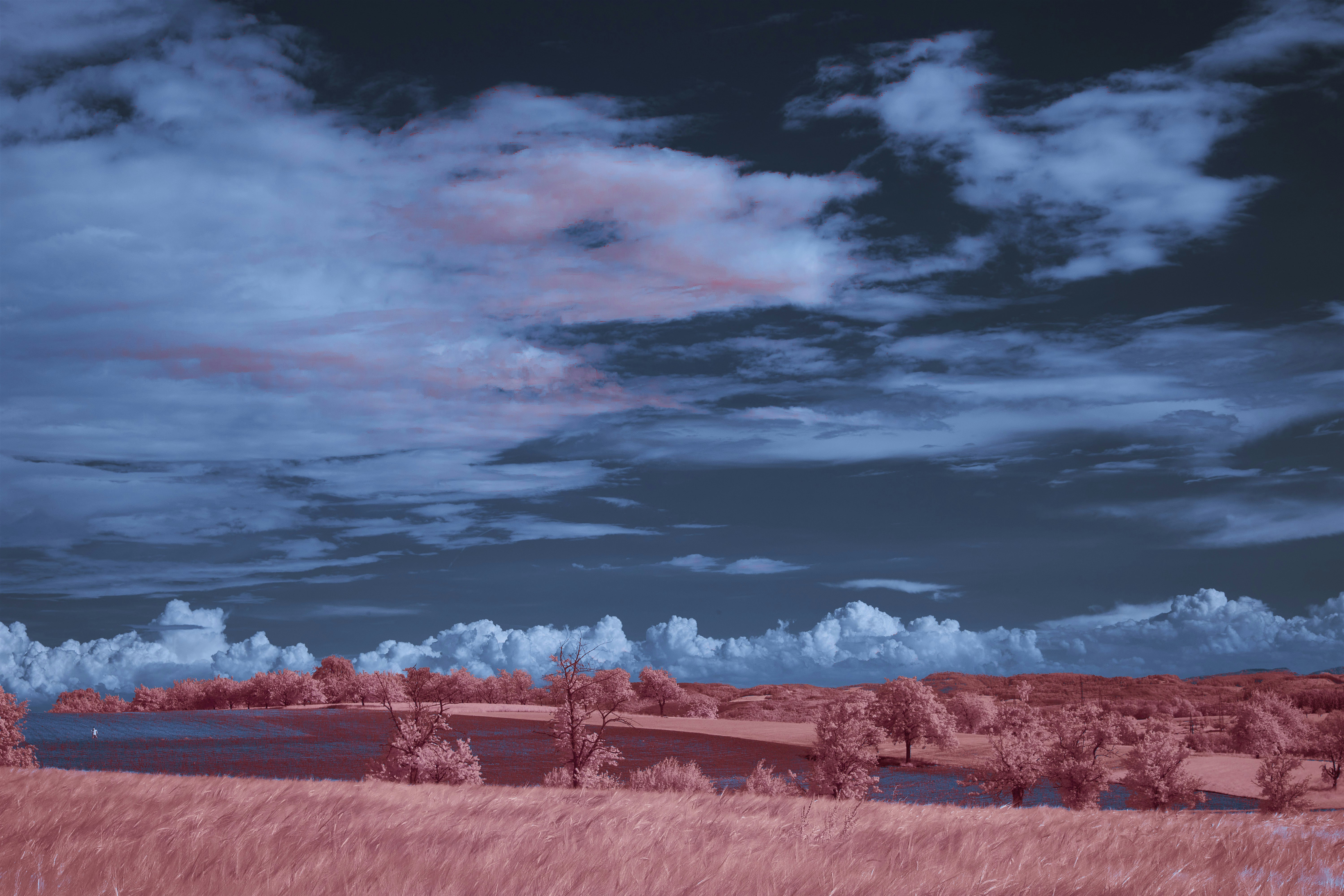 Photo by wolfgang_hasselmann