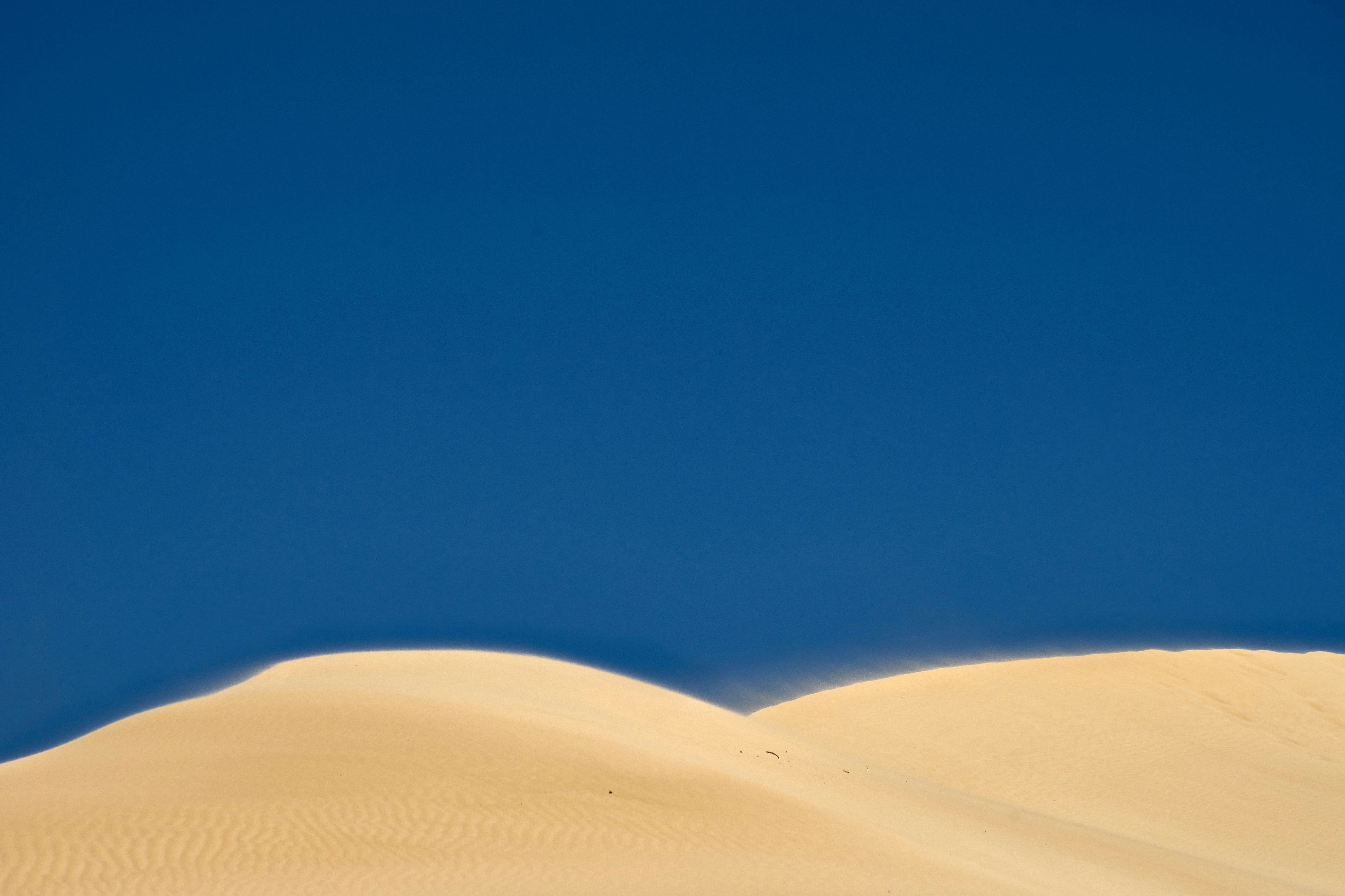 Photo by wolfgang_hasselmann