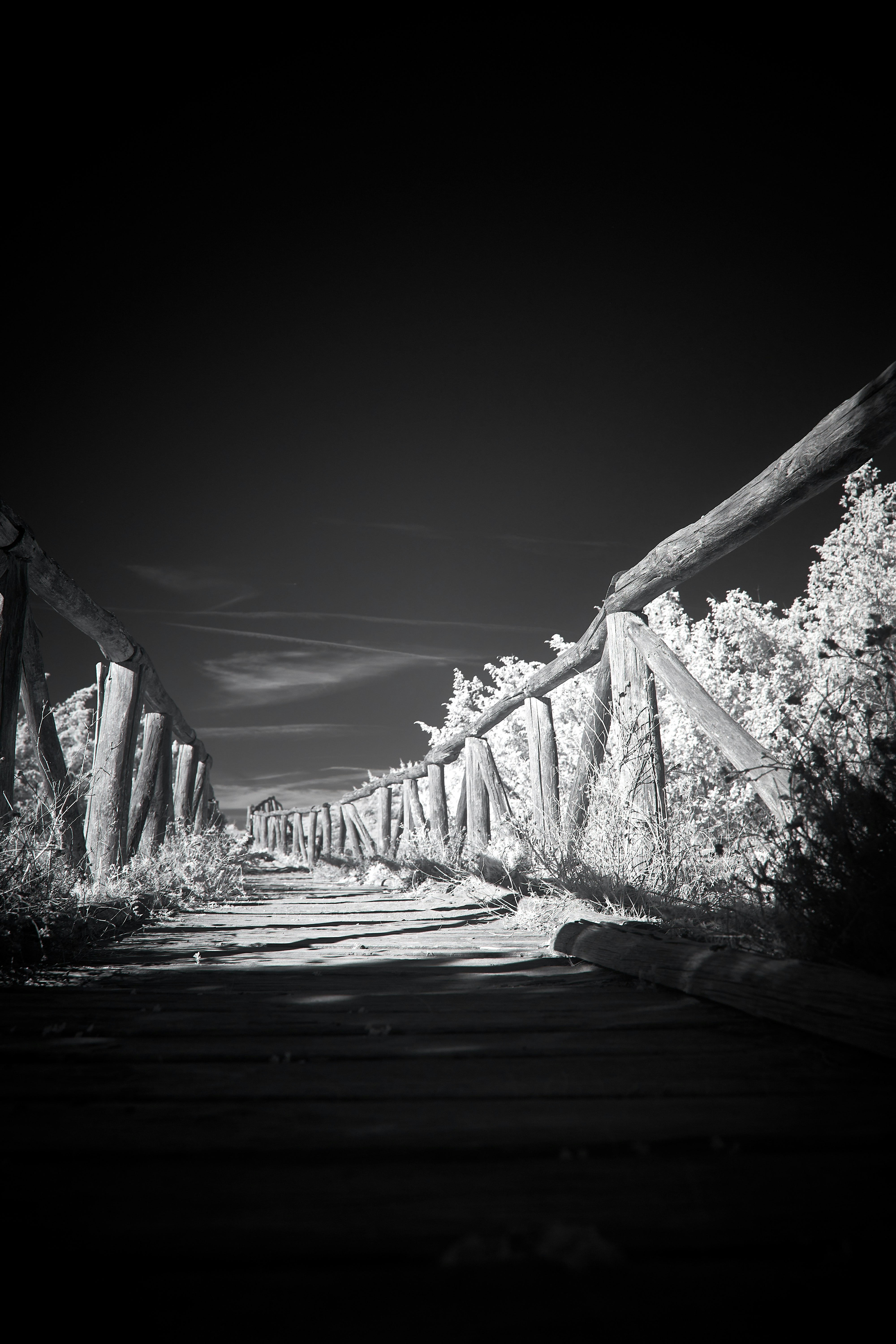 Photo by wolfgang_hasselmann