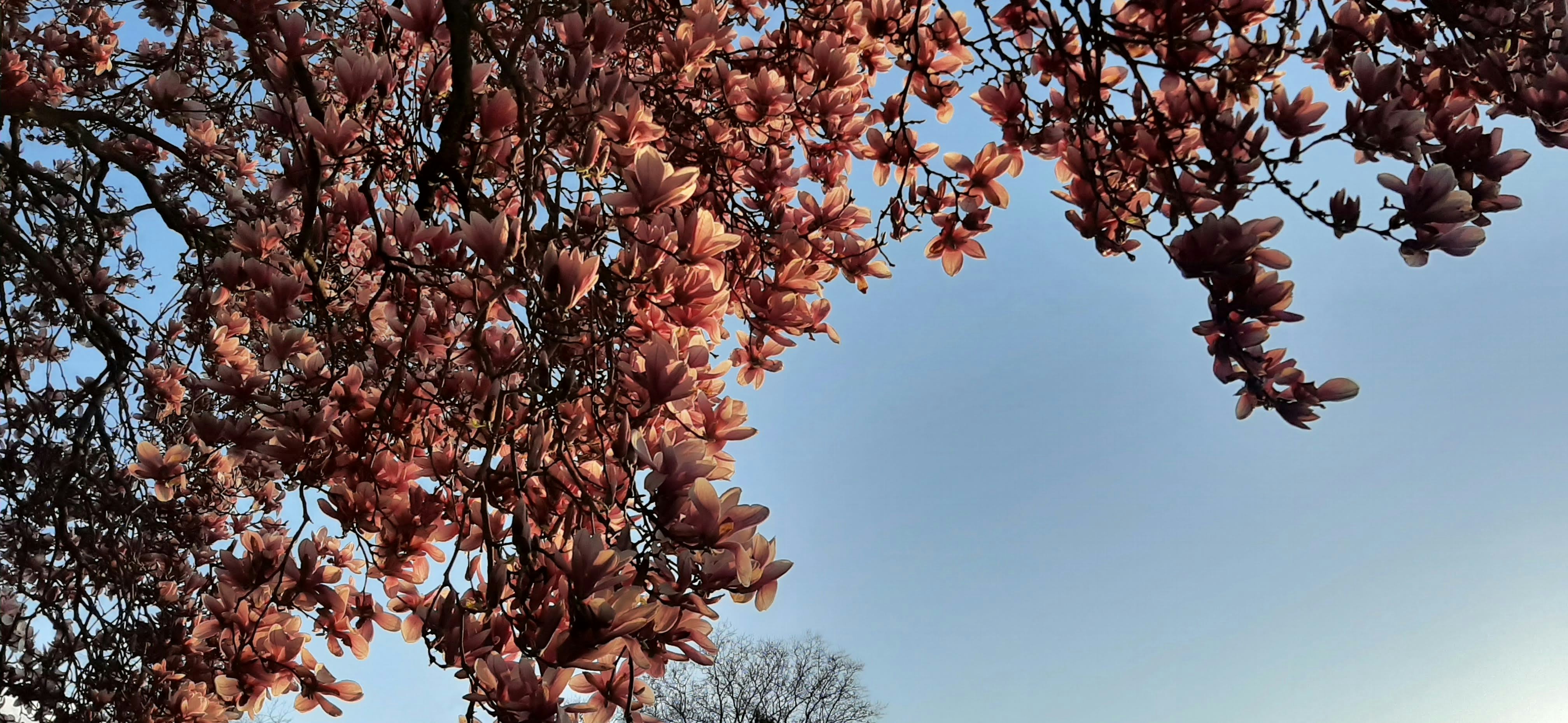 Photo by phandy_rhoto