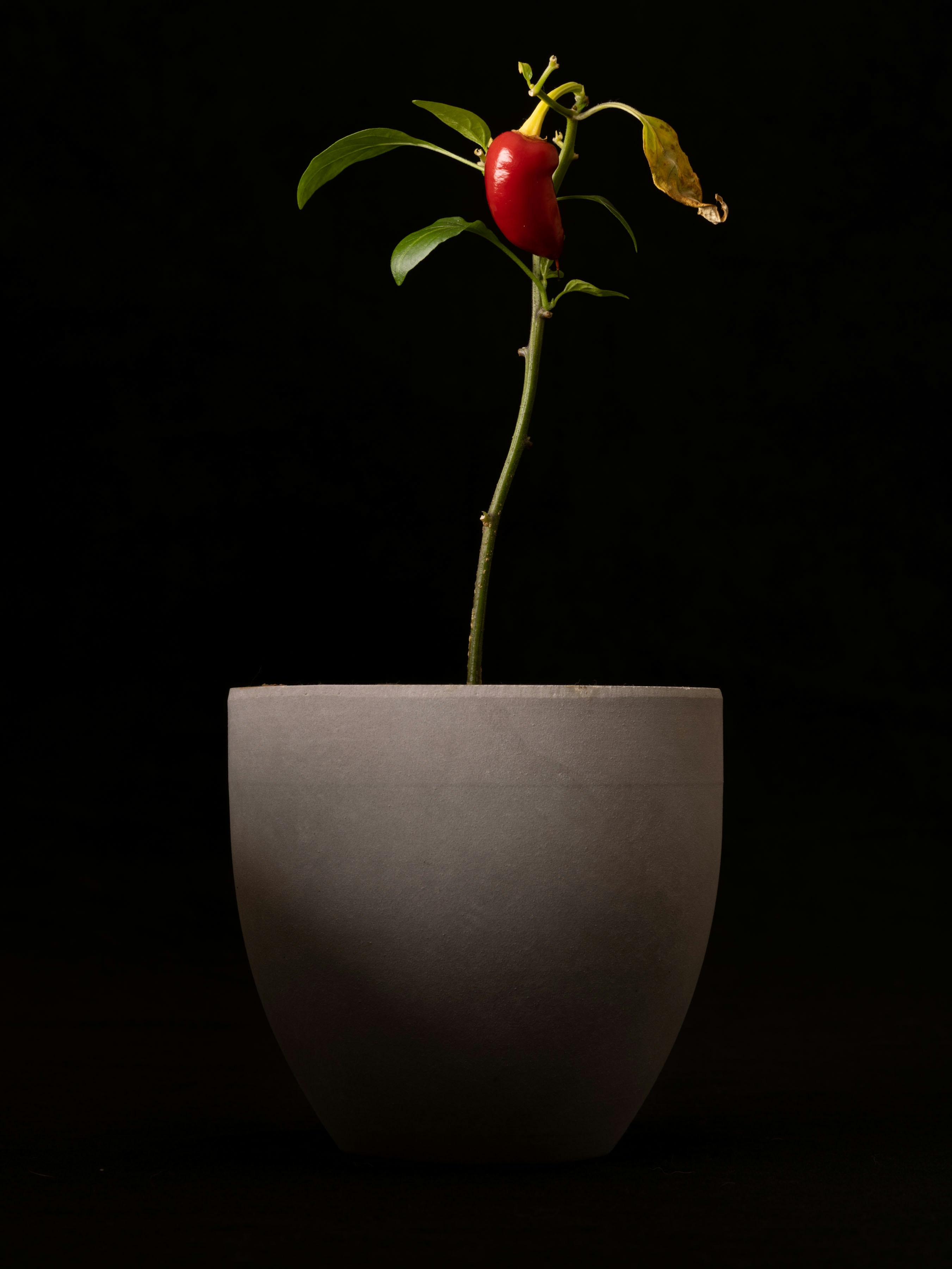 Photo by thebumpercrew