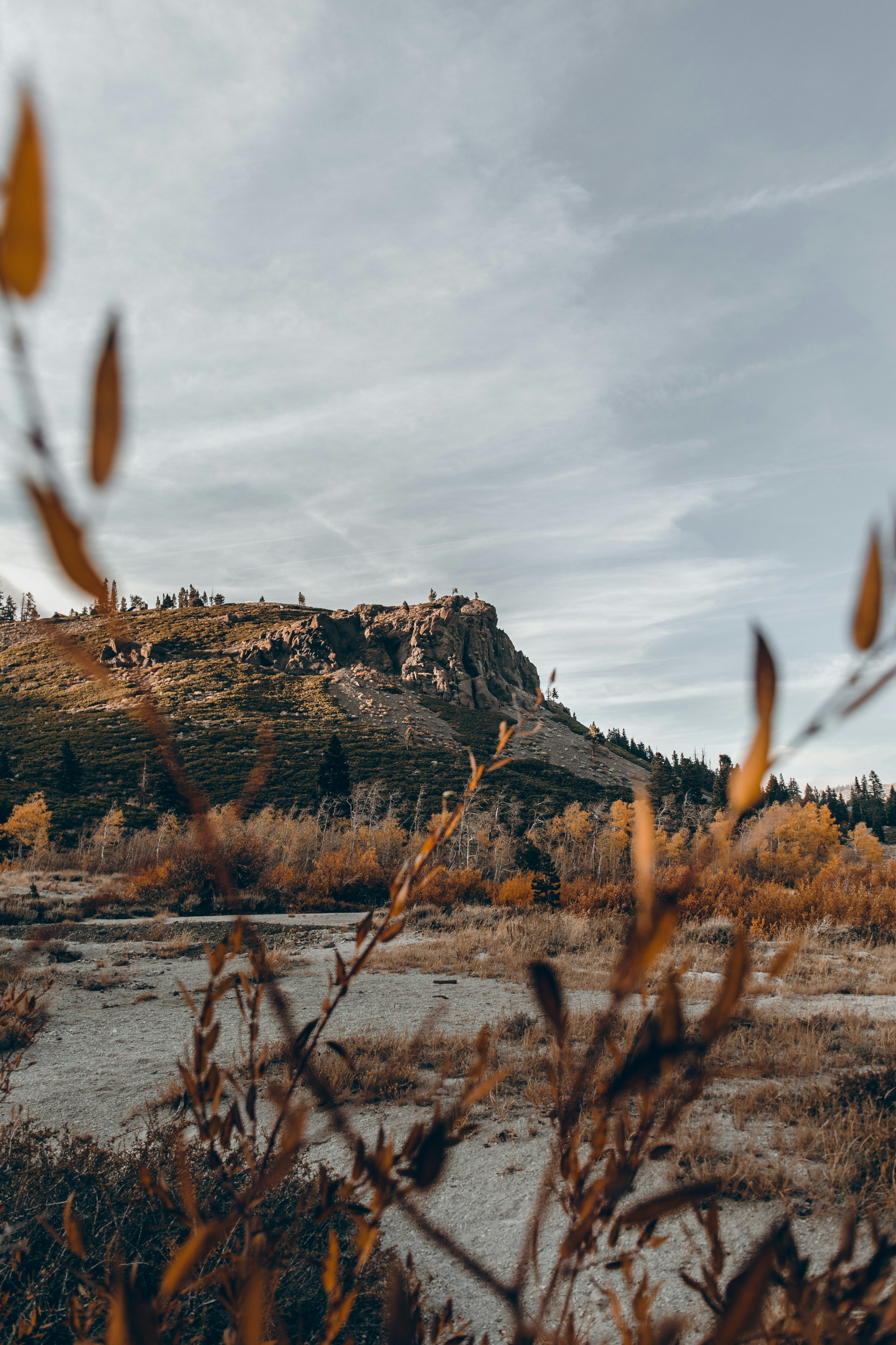 a hill with a castle on top of it