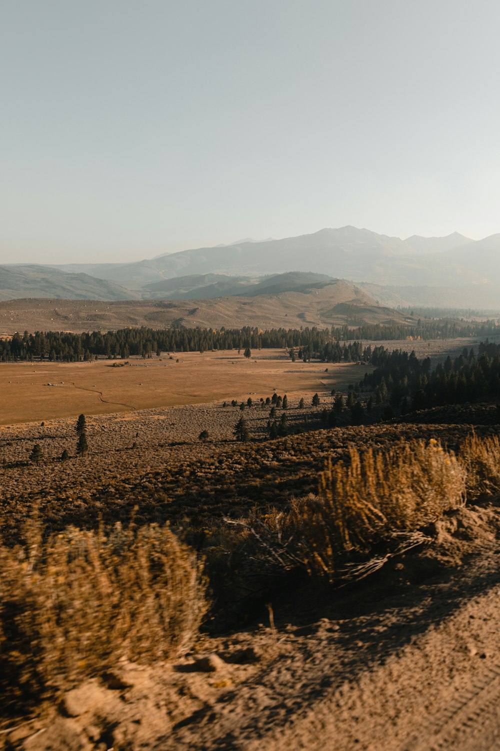 a view of a field with mountains in the background