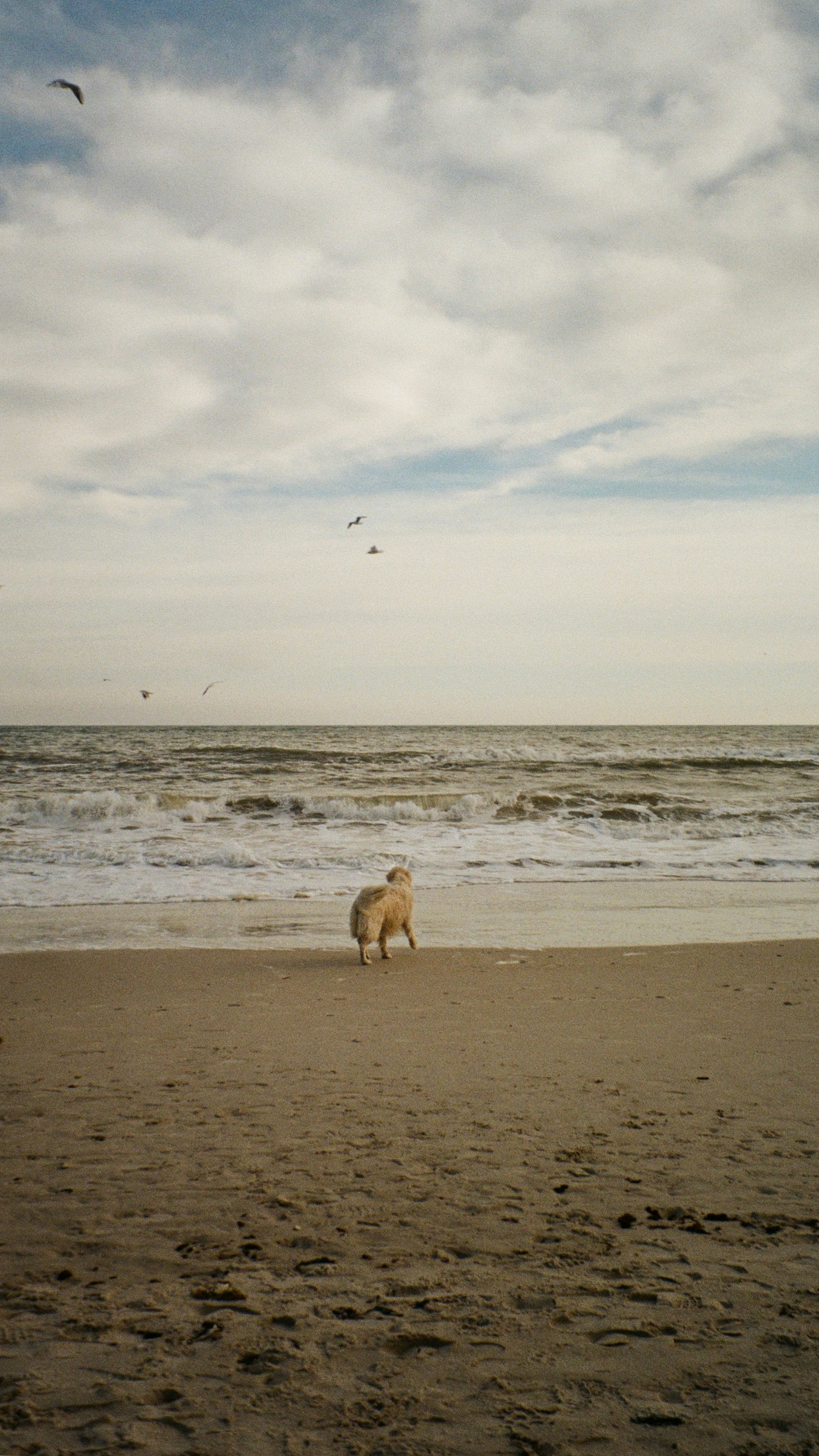 Photo by vladpatana