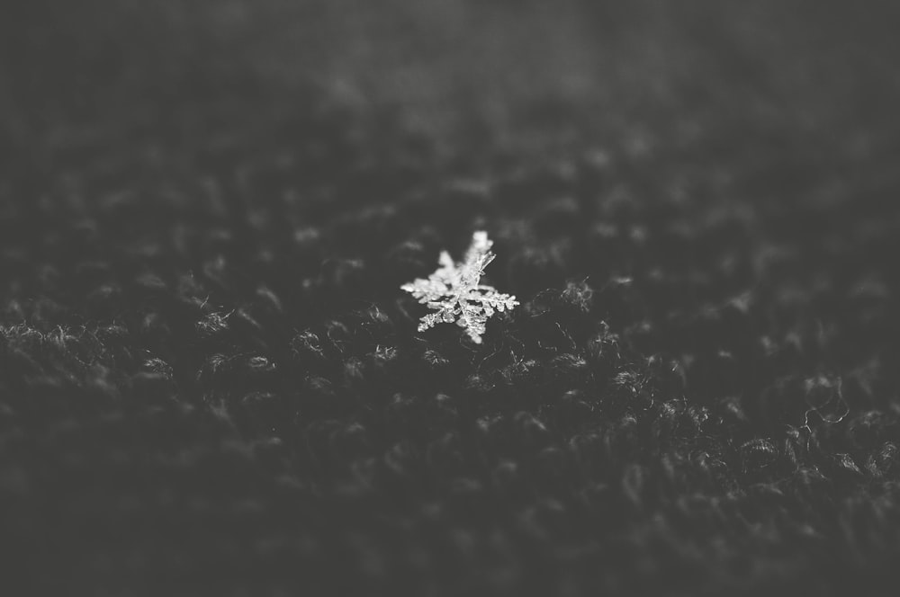 a snowflake is seen in a black and white photo