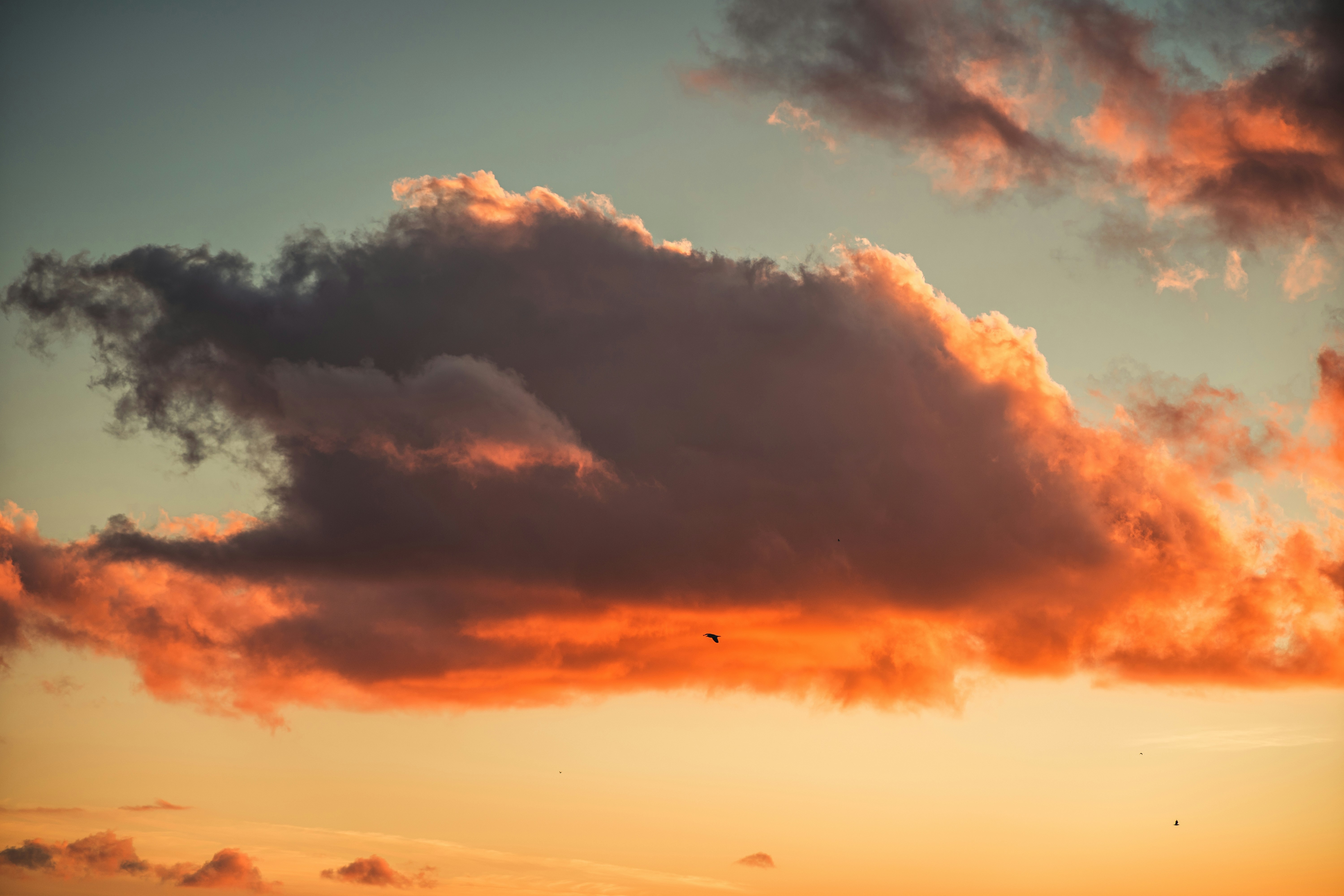 Photo by itsrobcoates