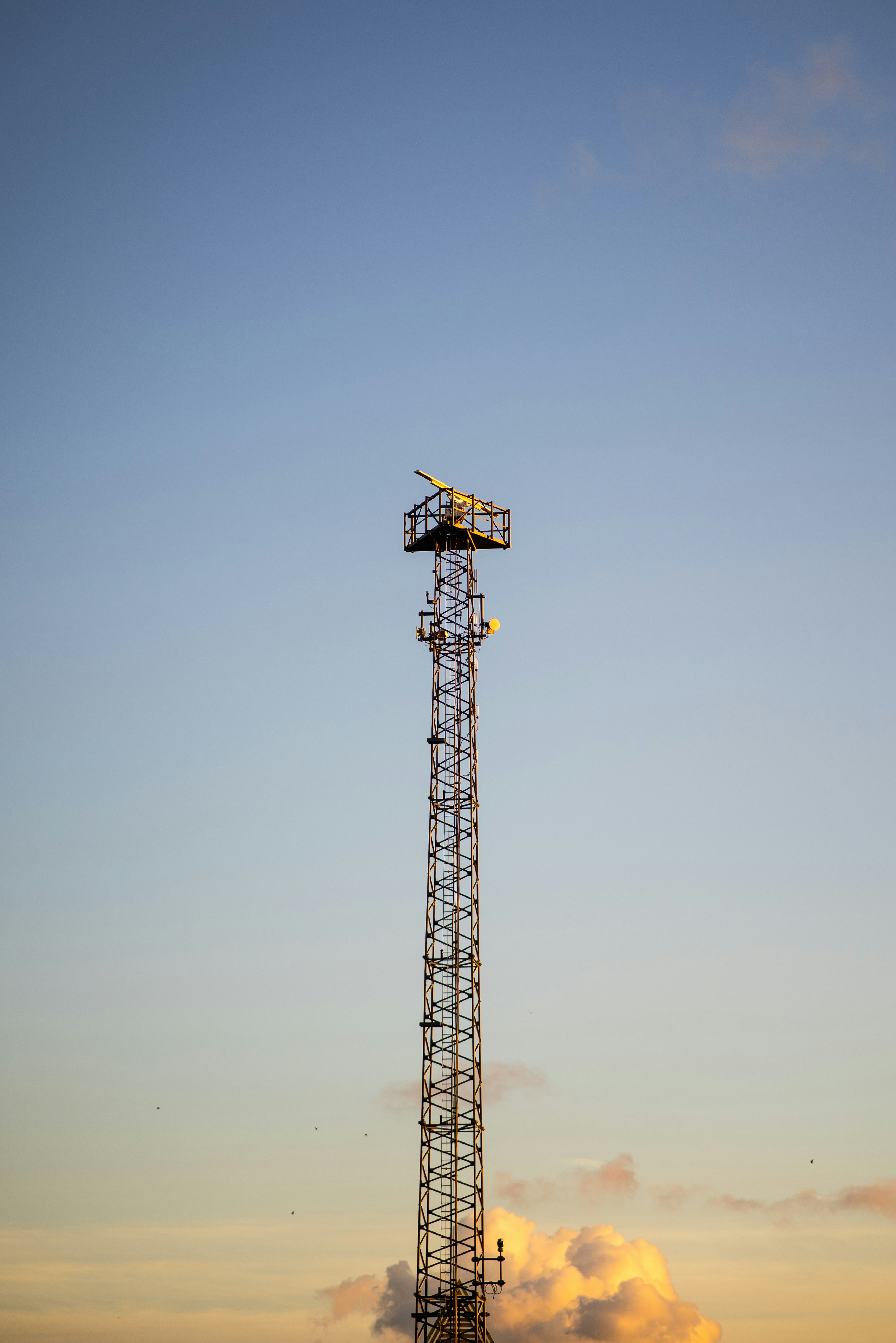 Photo by itsrobcoates