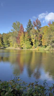 A serene lakeside view framed by autumn trees with golden leaves.