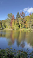 A serene lakeside reflection of autumn trees, their colors vivid and glowing.
