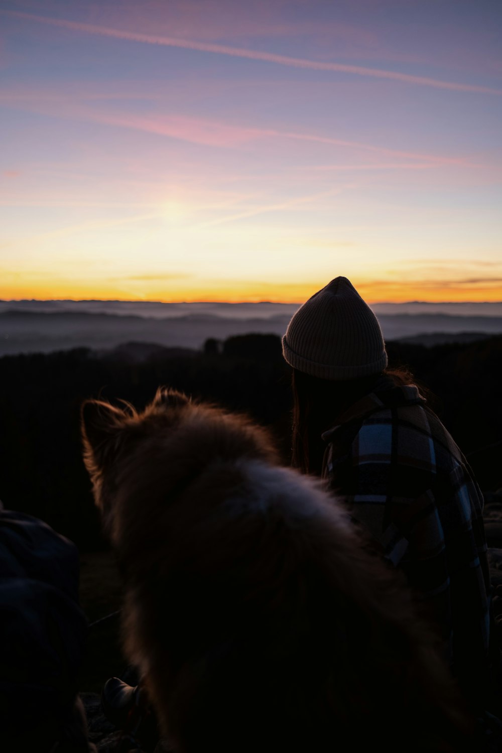 a person sitting on a hill with a dog