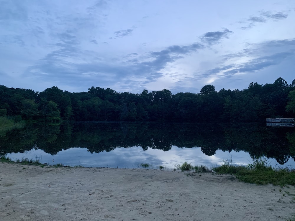 a body of water surrounded by a forest