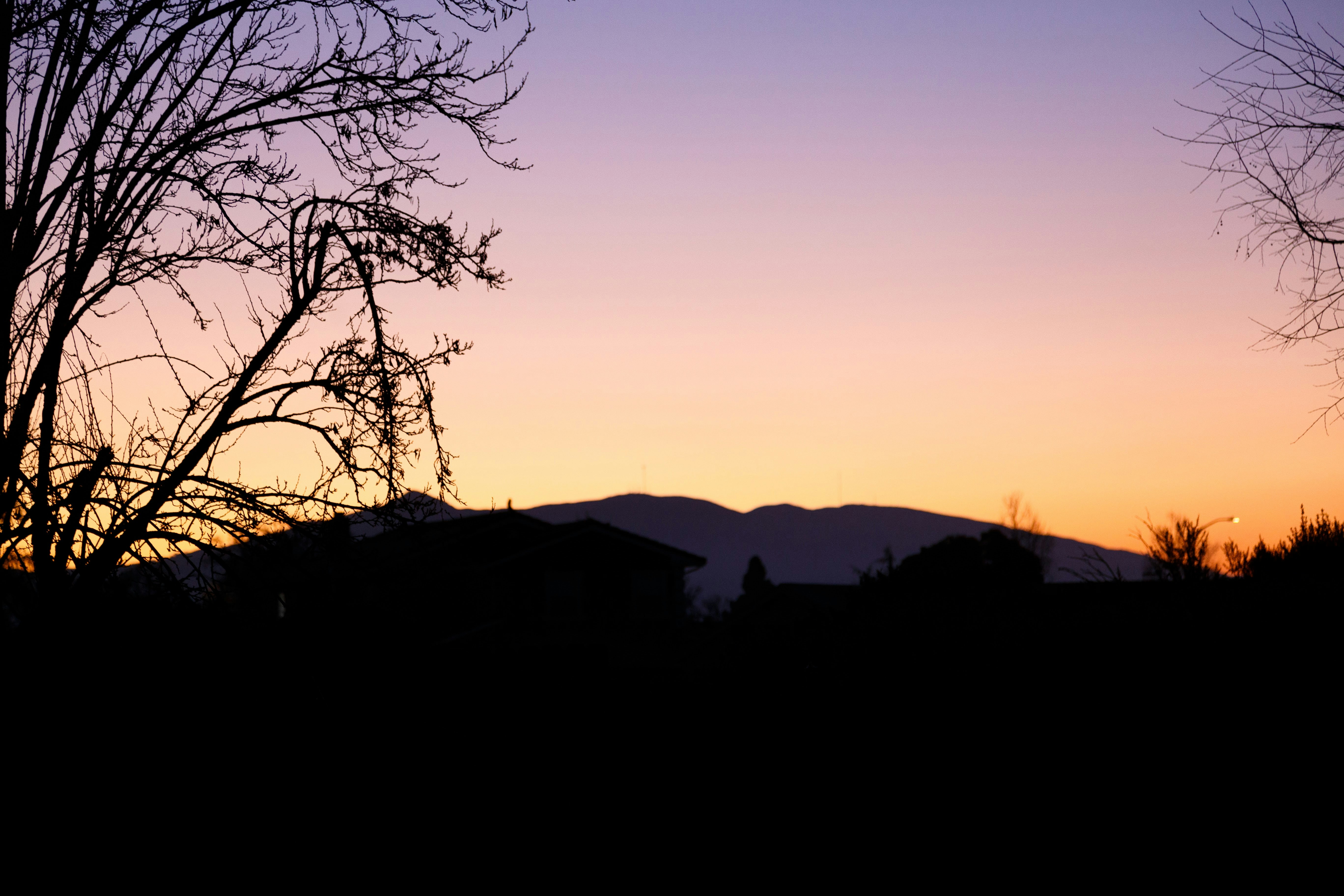 Photo by alien_roger