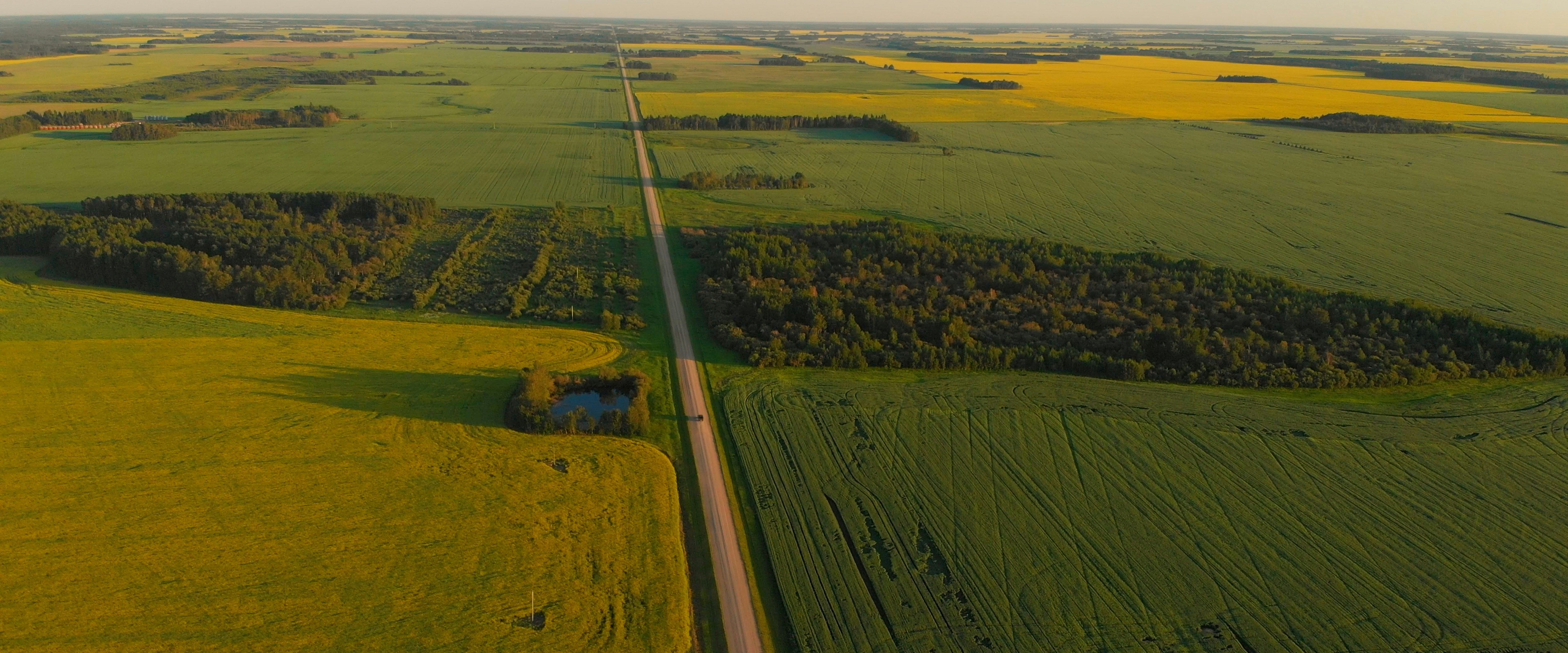 Photo by scottagoodwill