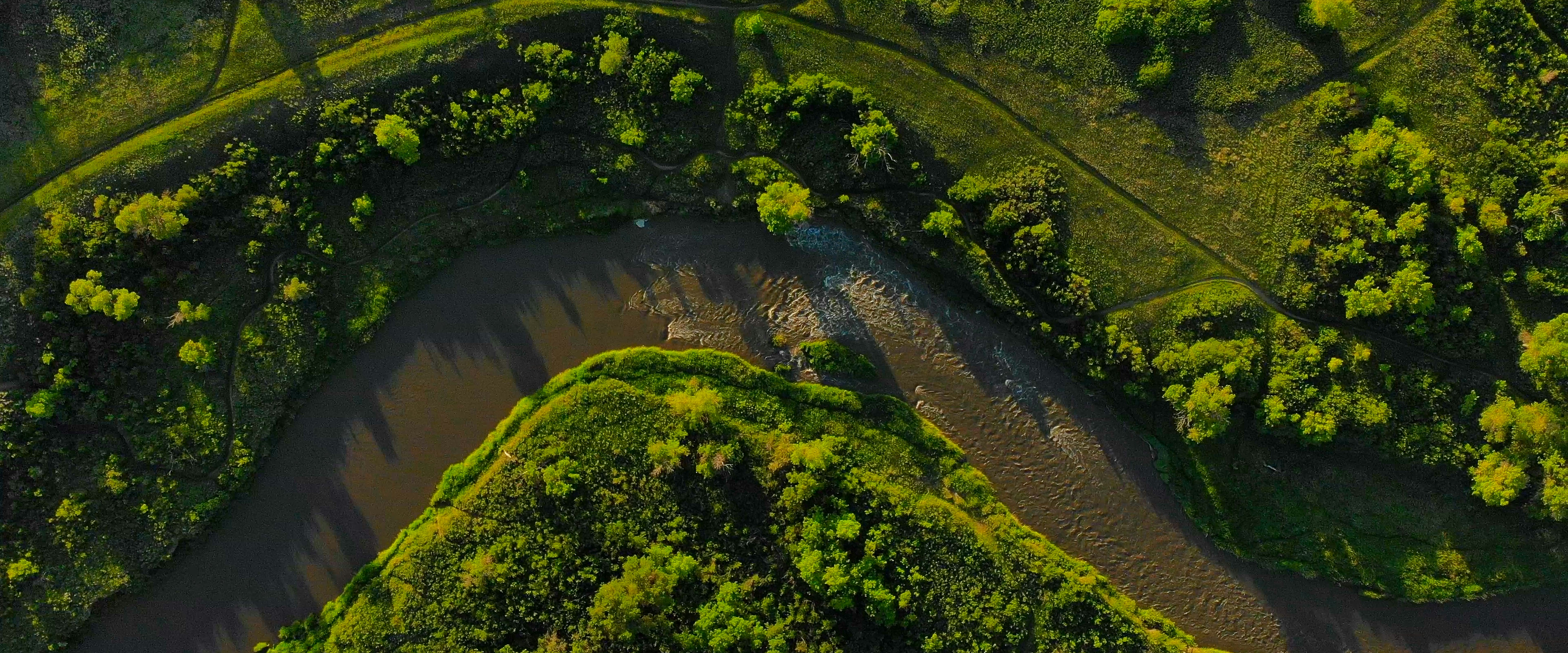 Photo by scottagoodwill