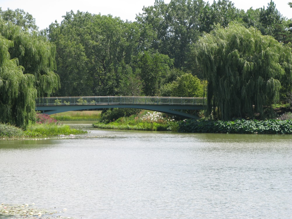 a bridge over a body of water surrounded by trees