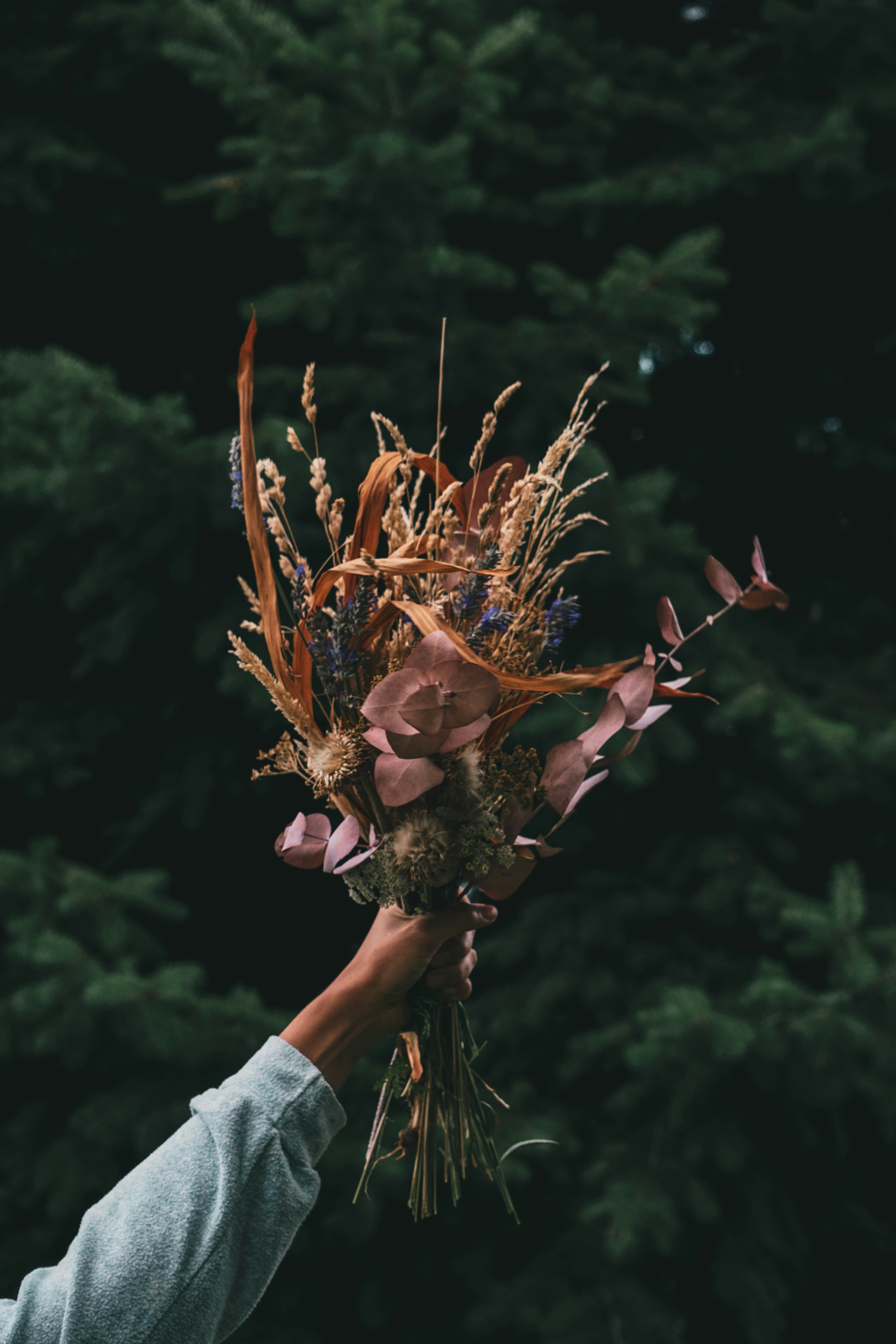 Photo by camilaespasandin