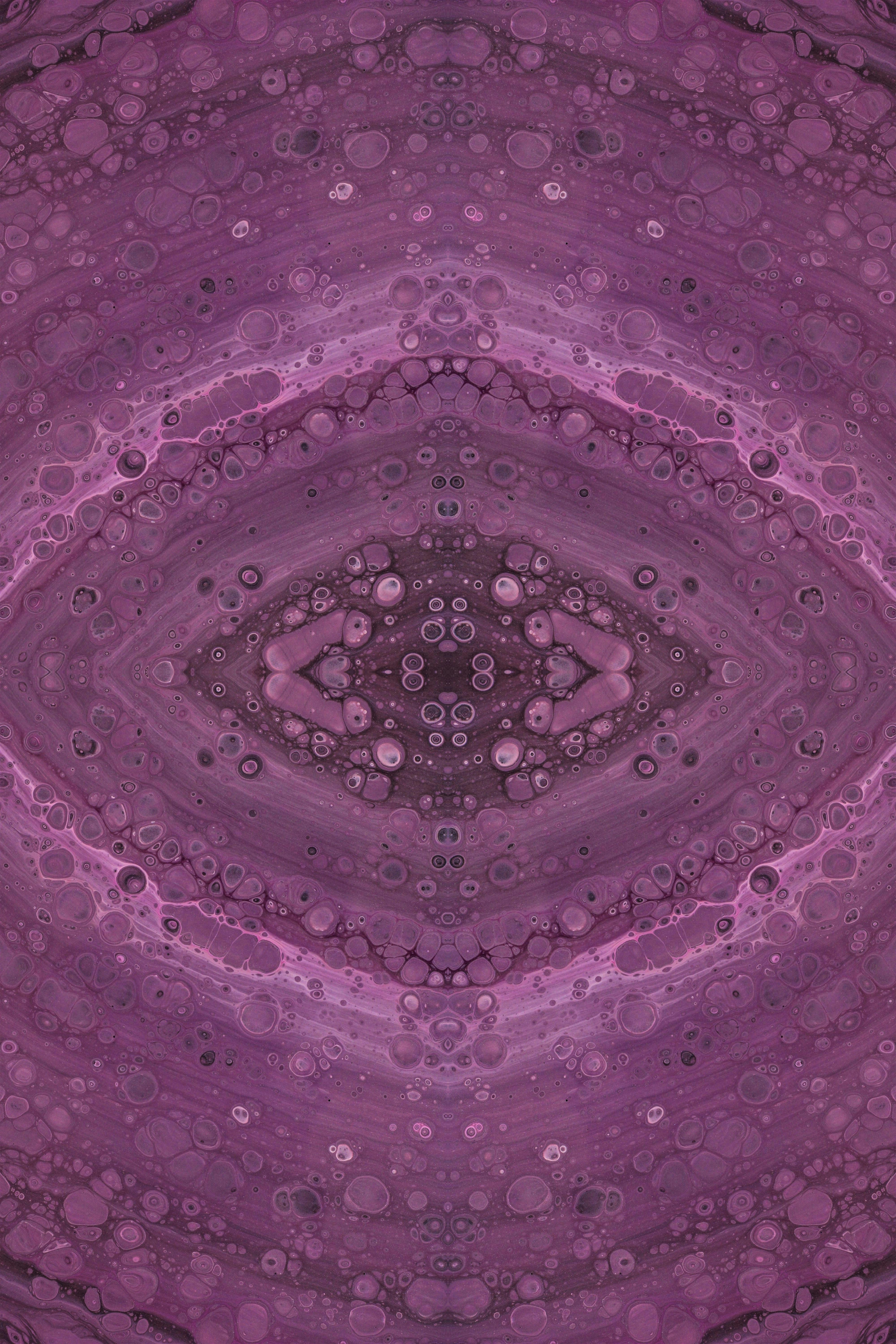 Photo by susan_wilkinson