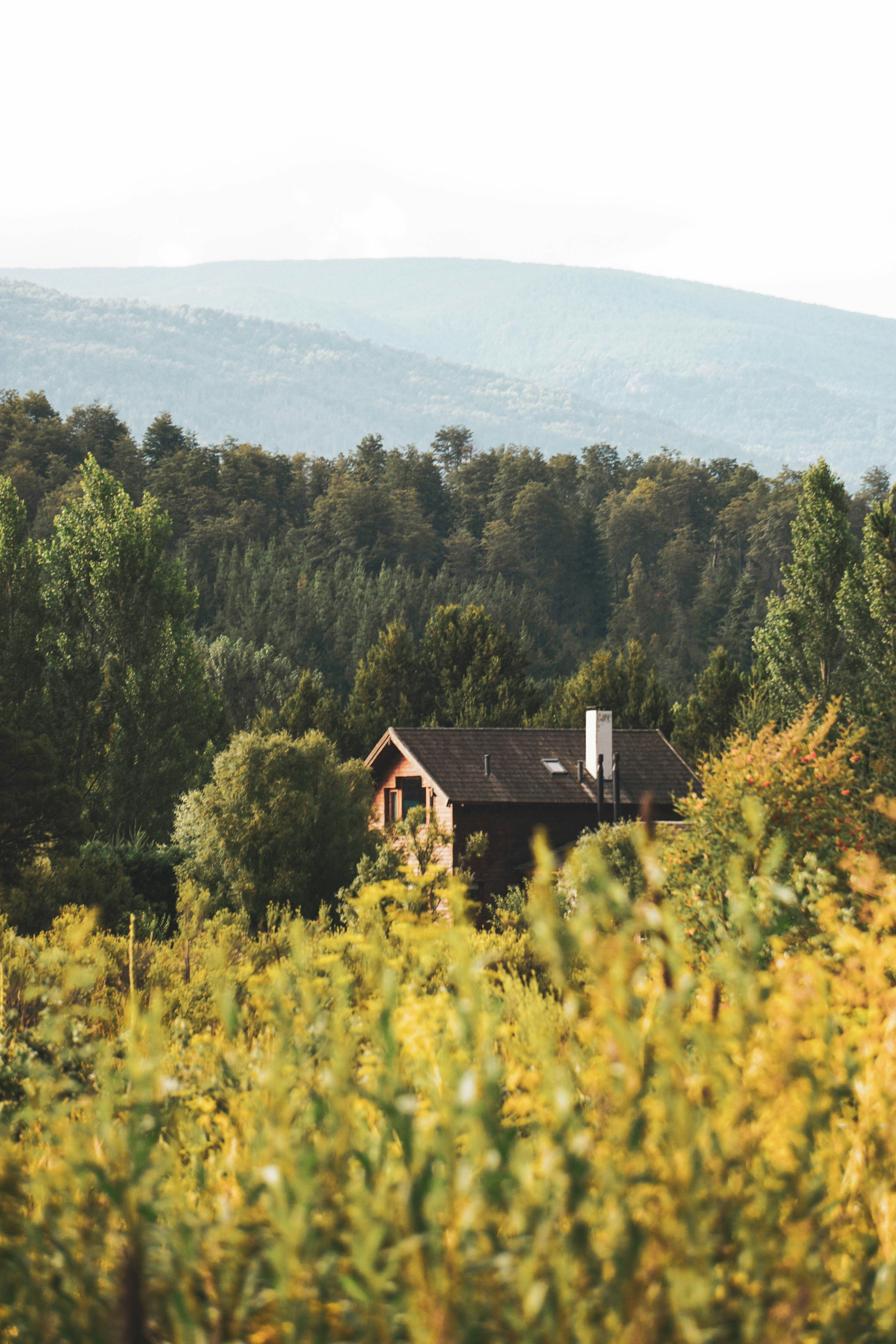 Photo by camilaespasandin