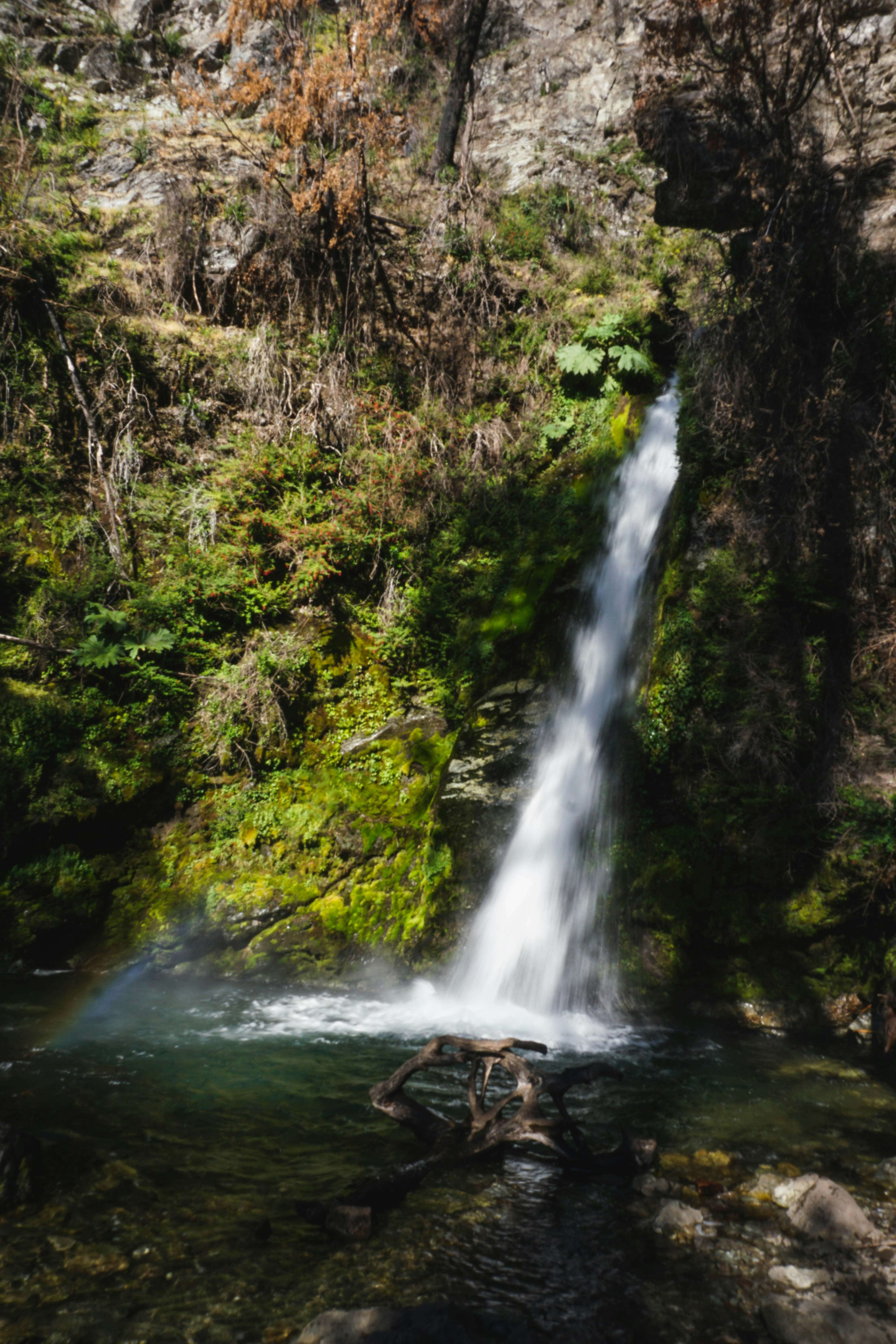 Photo by camilaespasandin