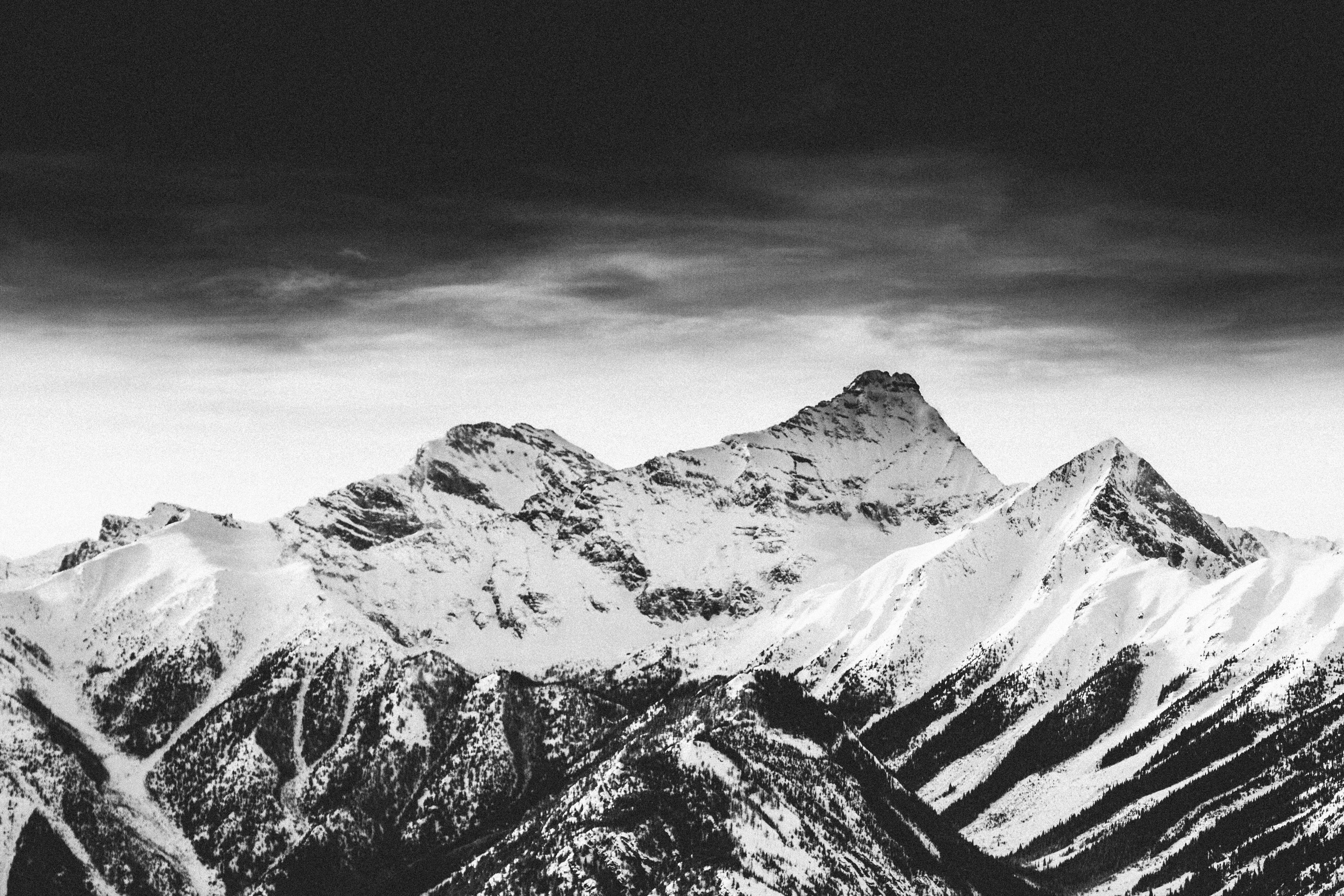 Photo by scottagoodwill