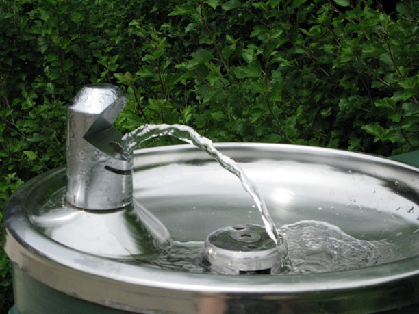 a water fountain with a green bush in the background