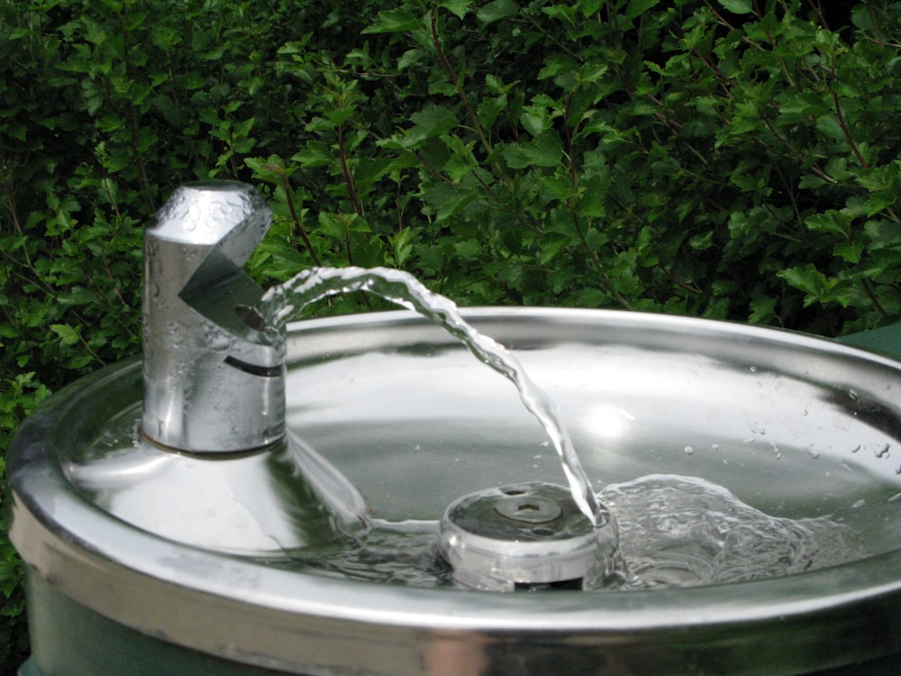 a water fountain with a green bush in the background
