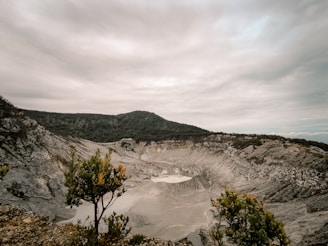 a view of a large open pit with trees in the foreground