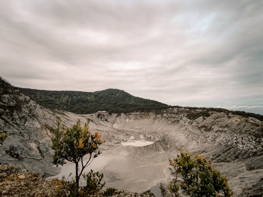 a view of a large open pit with trees in the foreground