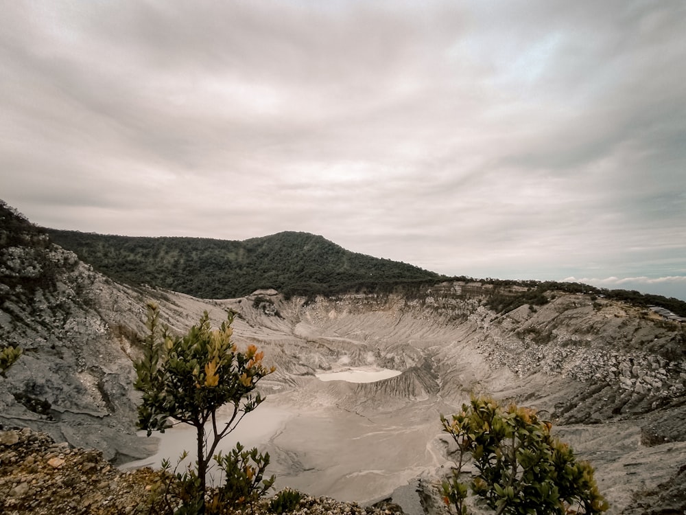 a view of a large open pit with trees in the foreground