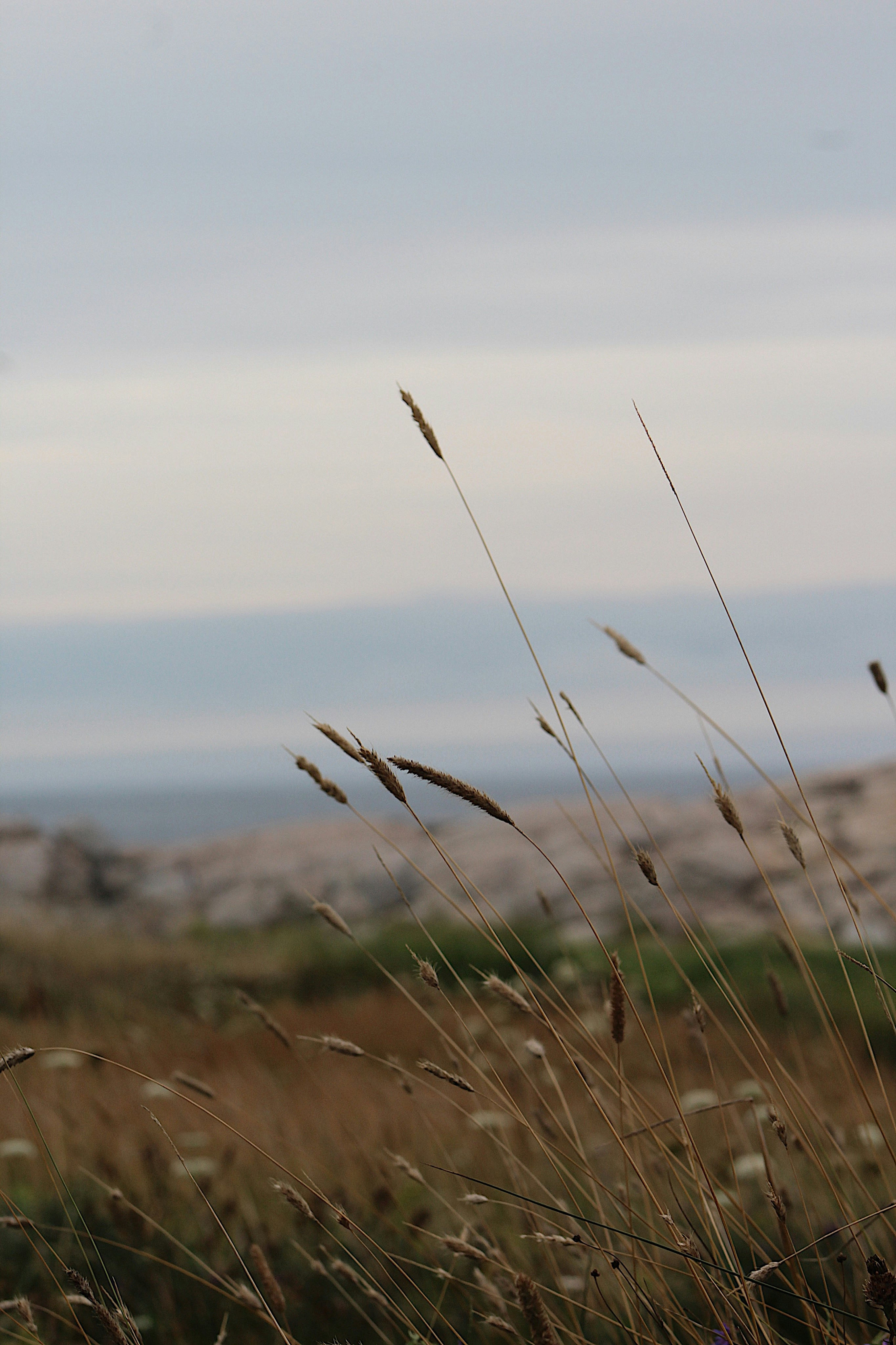 Photo by cloemond