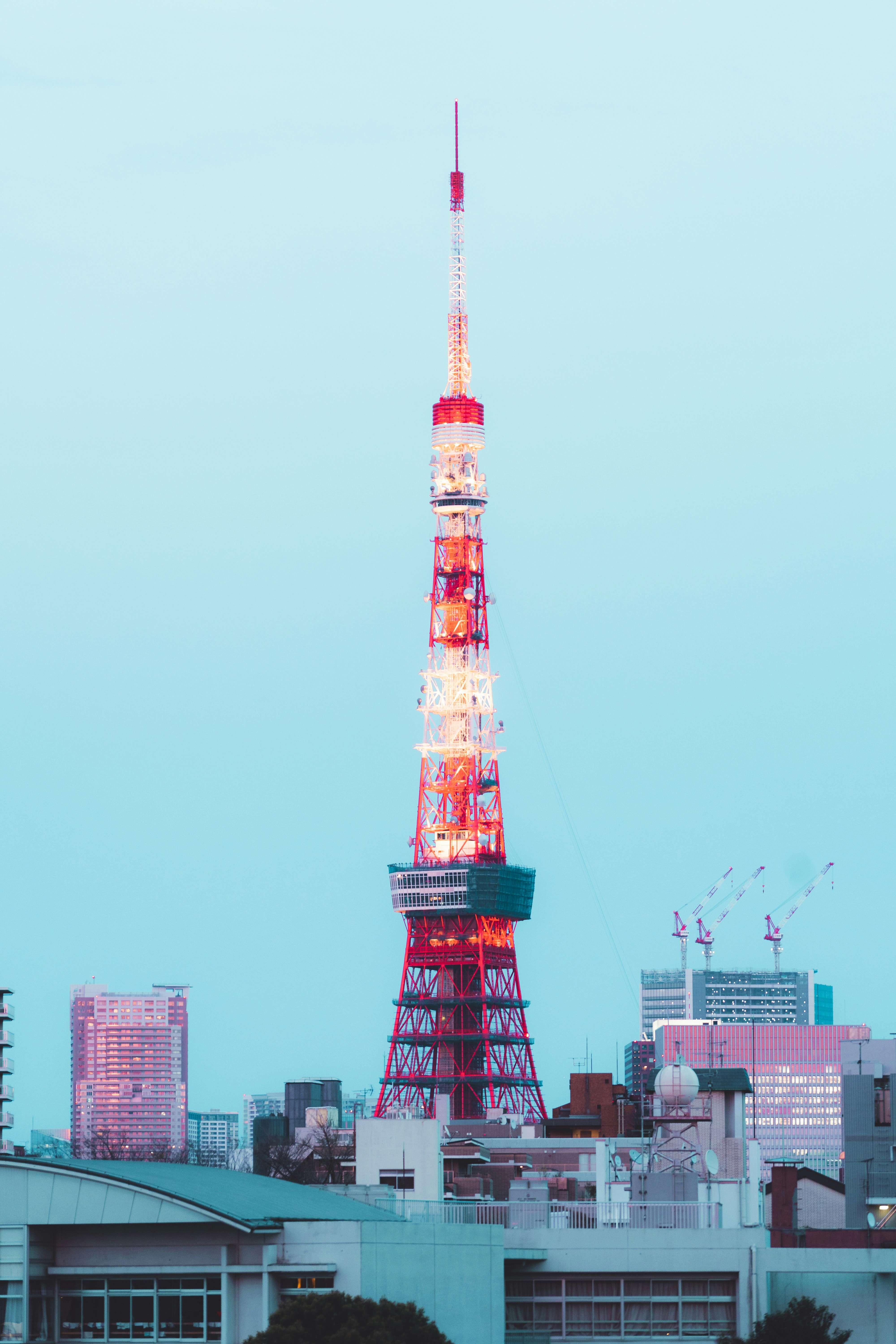 Photo by haroldwainwright