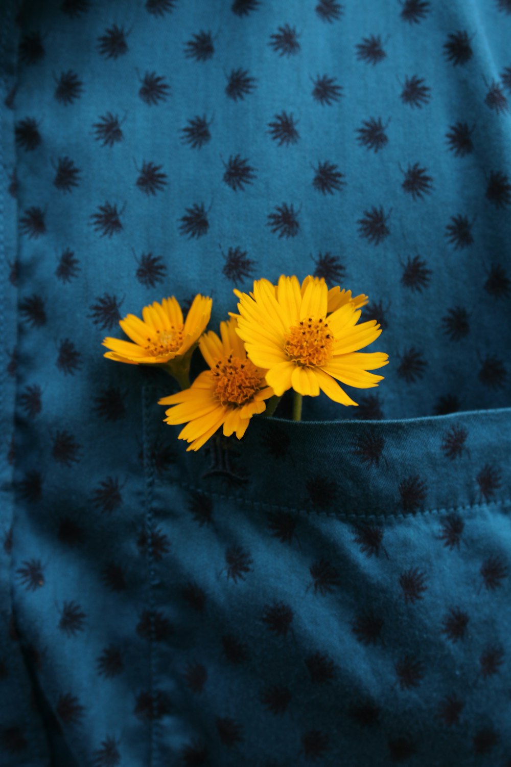 two yellow flowers sticking out of a pocket