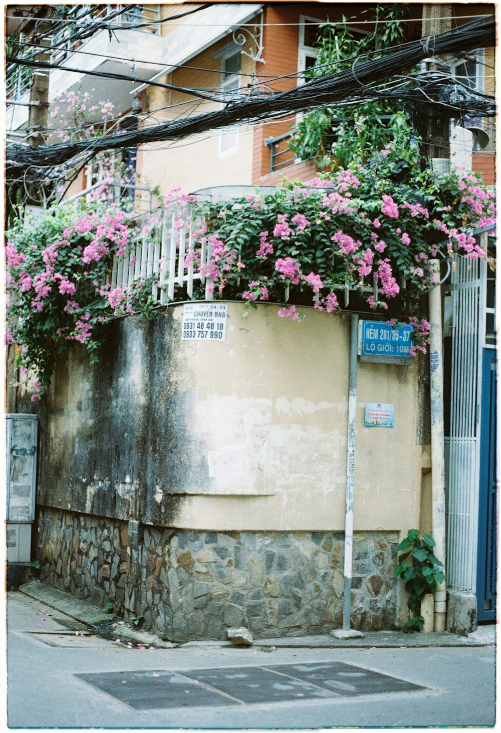 a building with a bunch of flowers growing on it