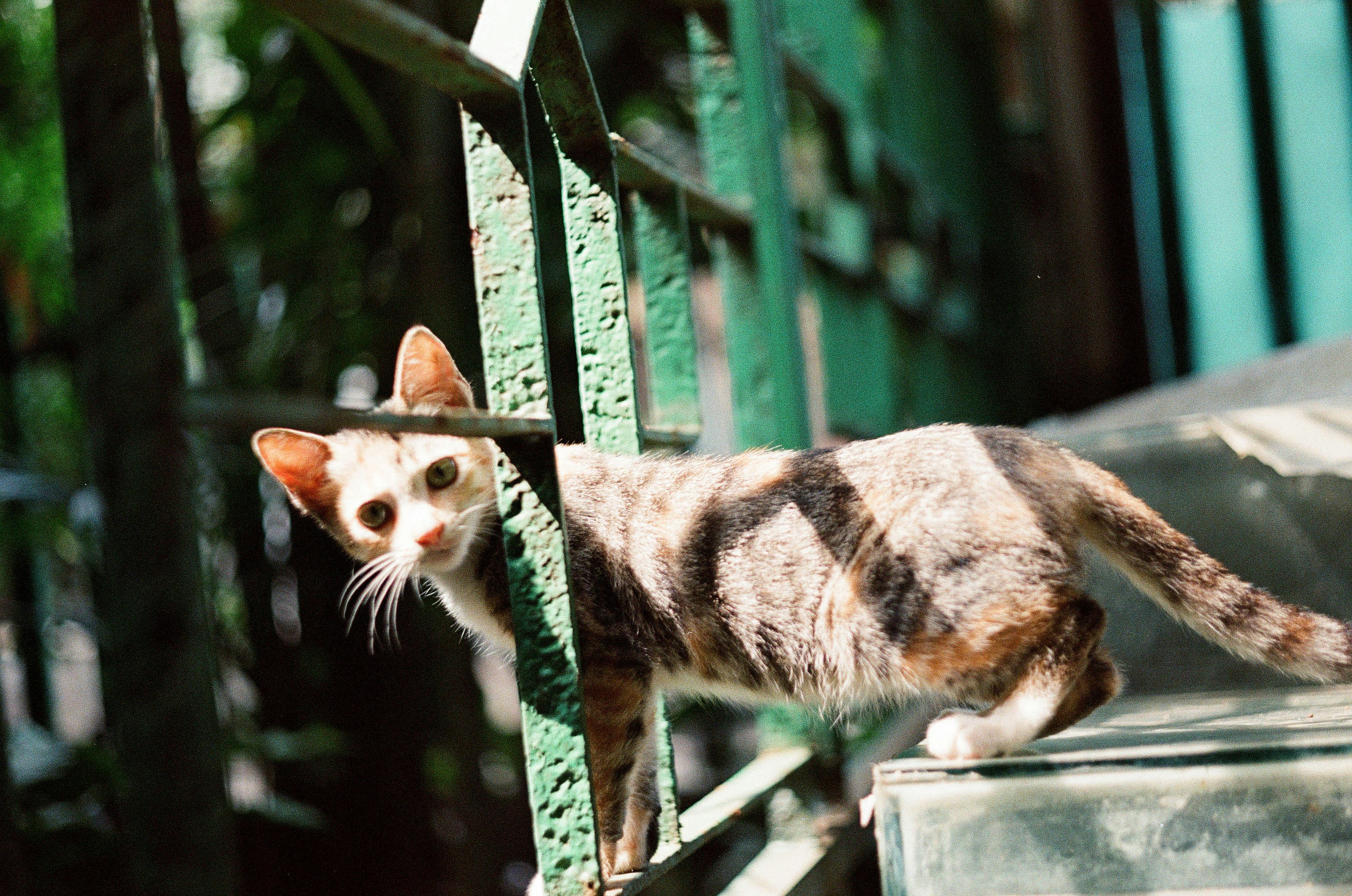 Photo by yudhaprilian