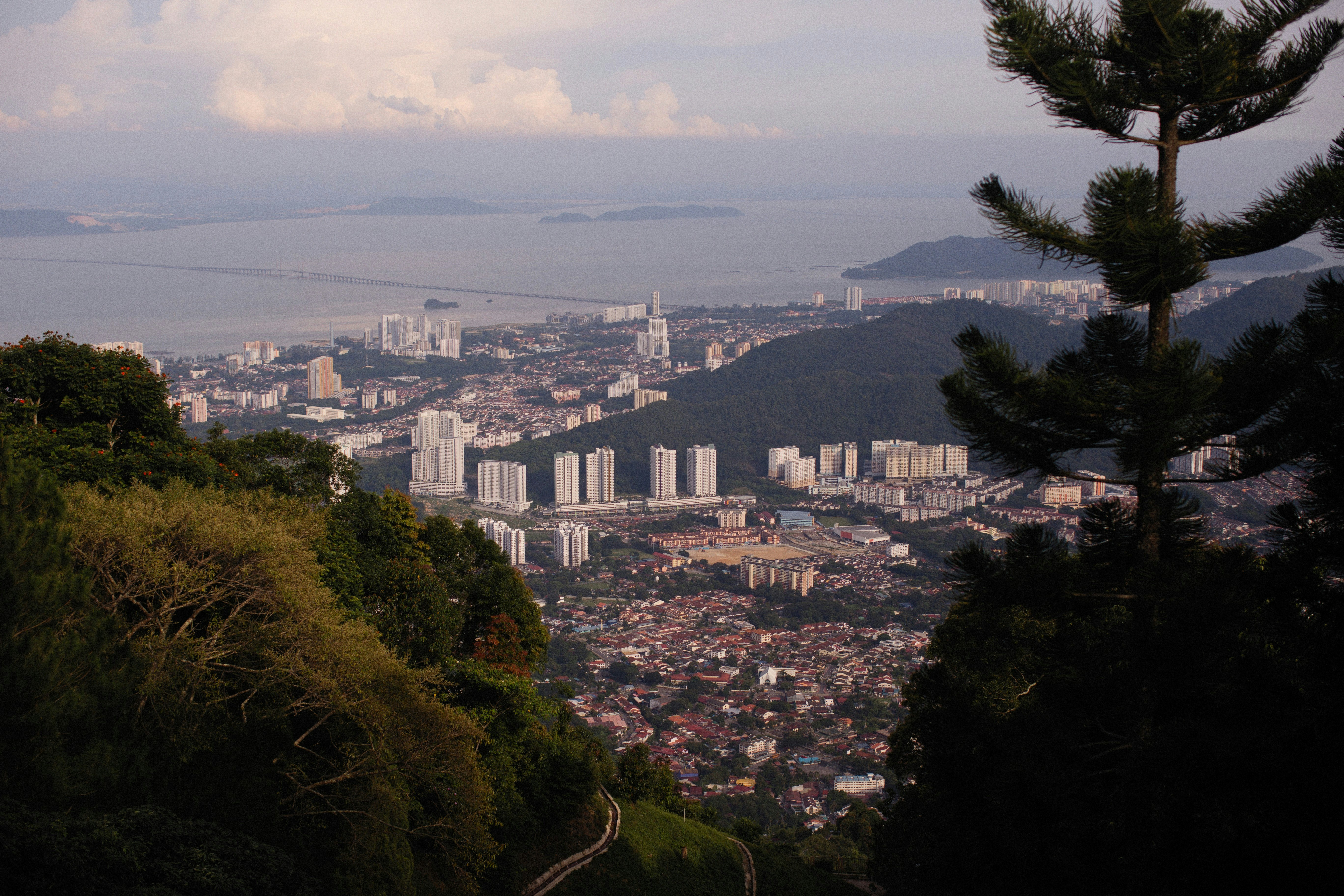 Photo by alexeydemidov