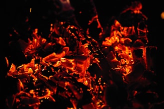 a close up of a fire in the dark
