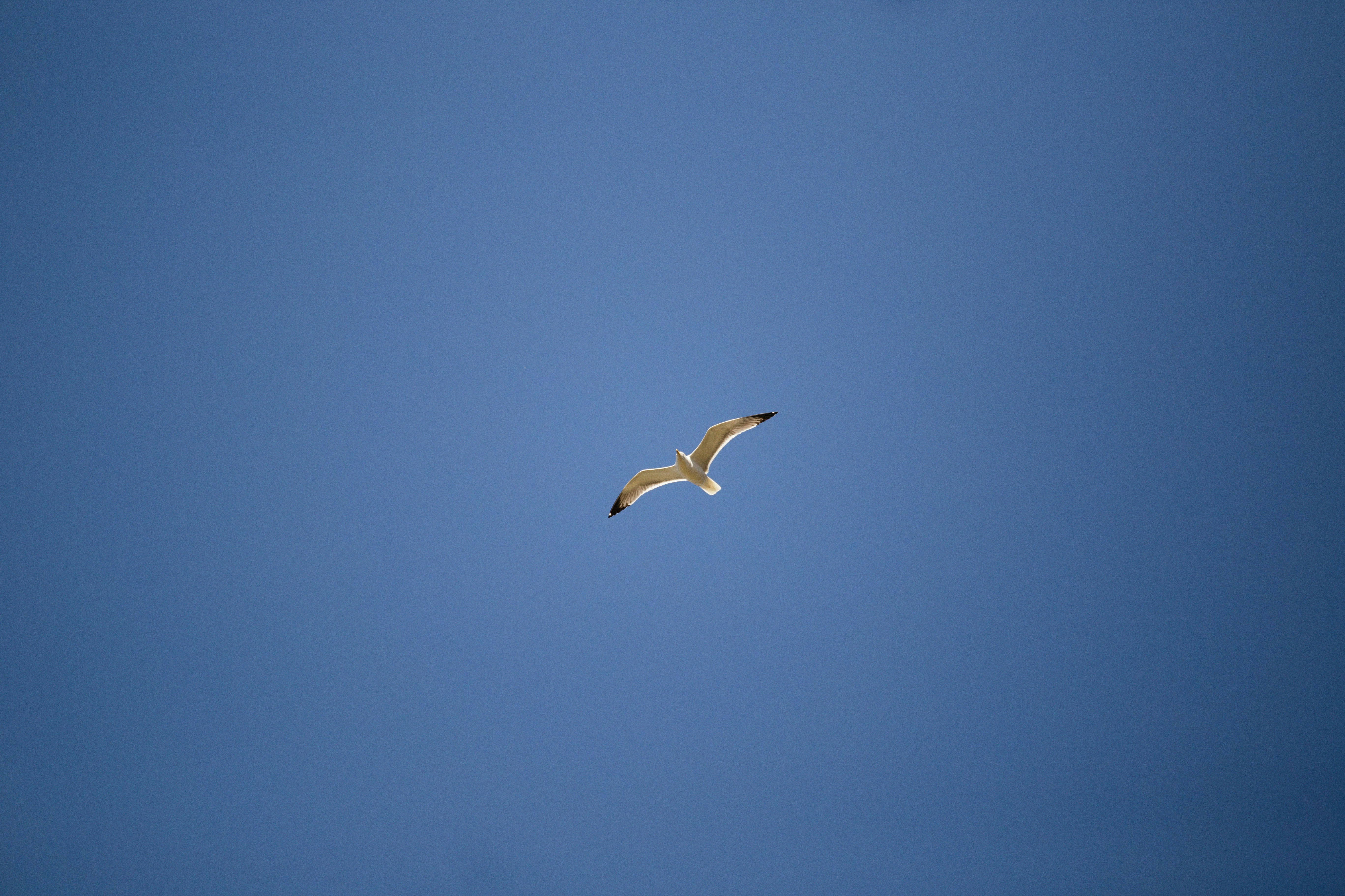 Photo by alexeydemidov