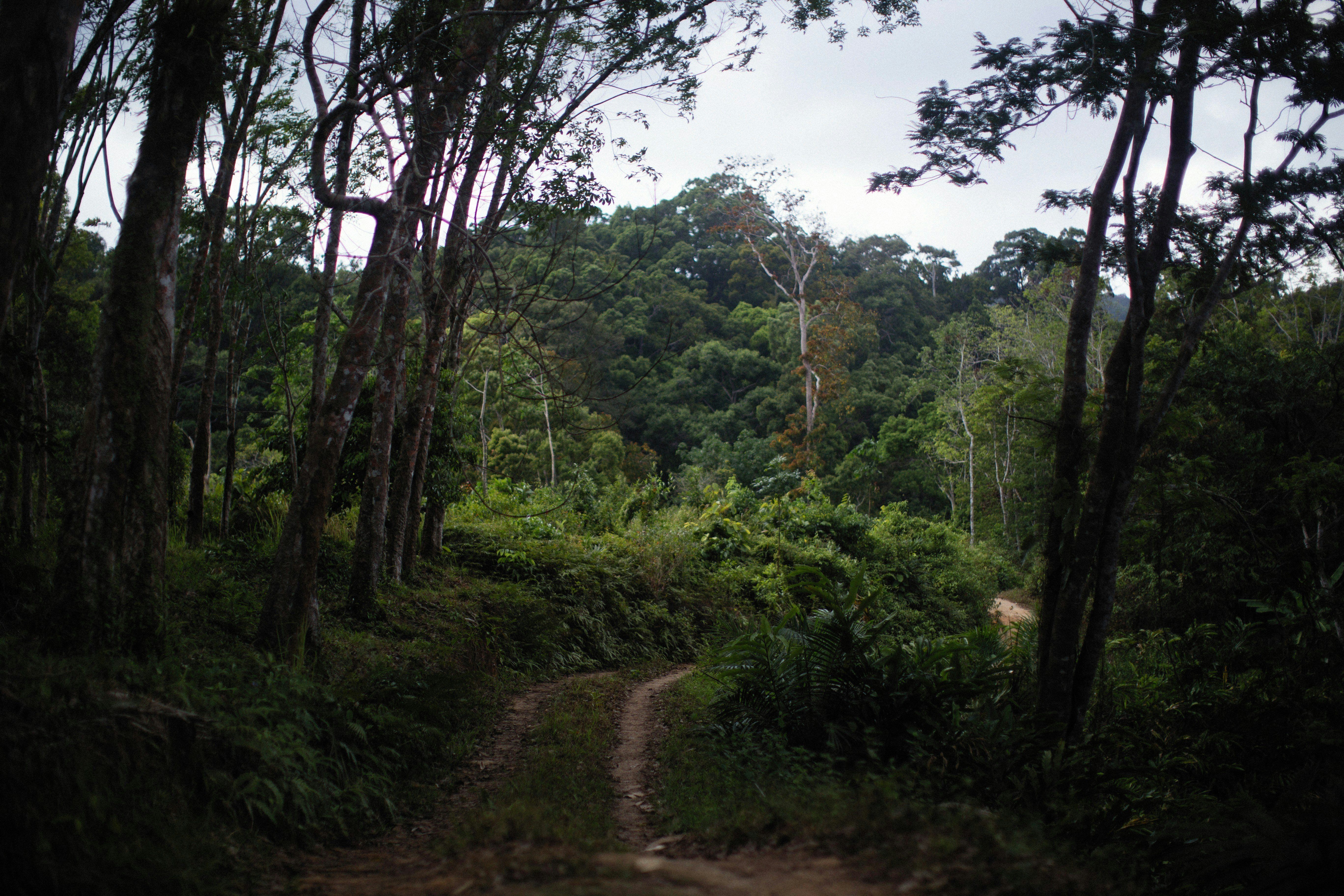 Photo by alexeydemidov