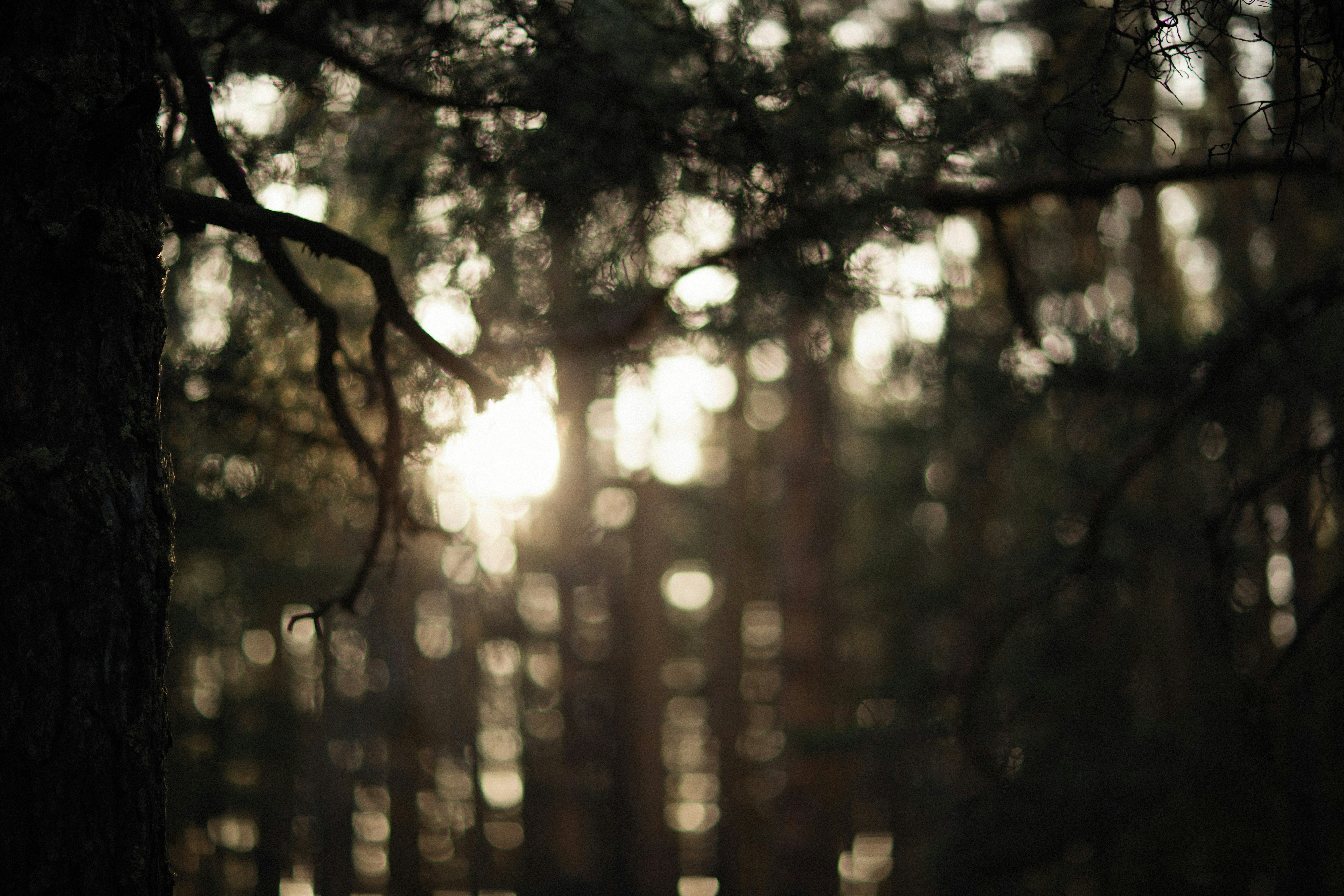 Photo by alexeydemidov