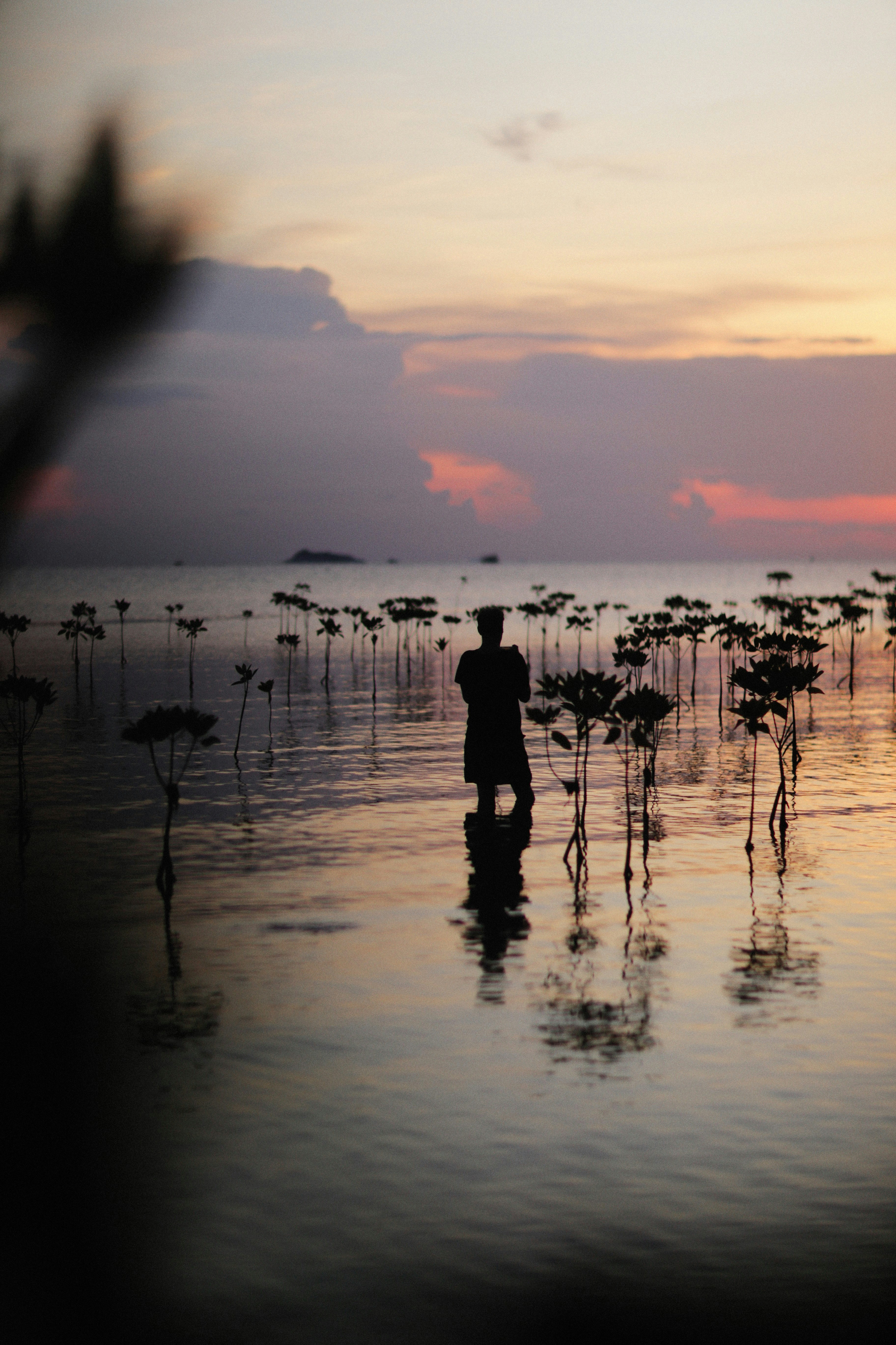 Photo by alexeydemidov