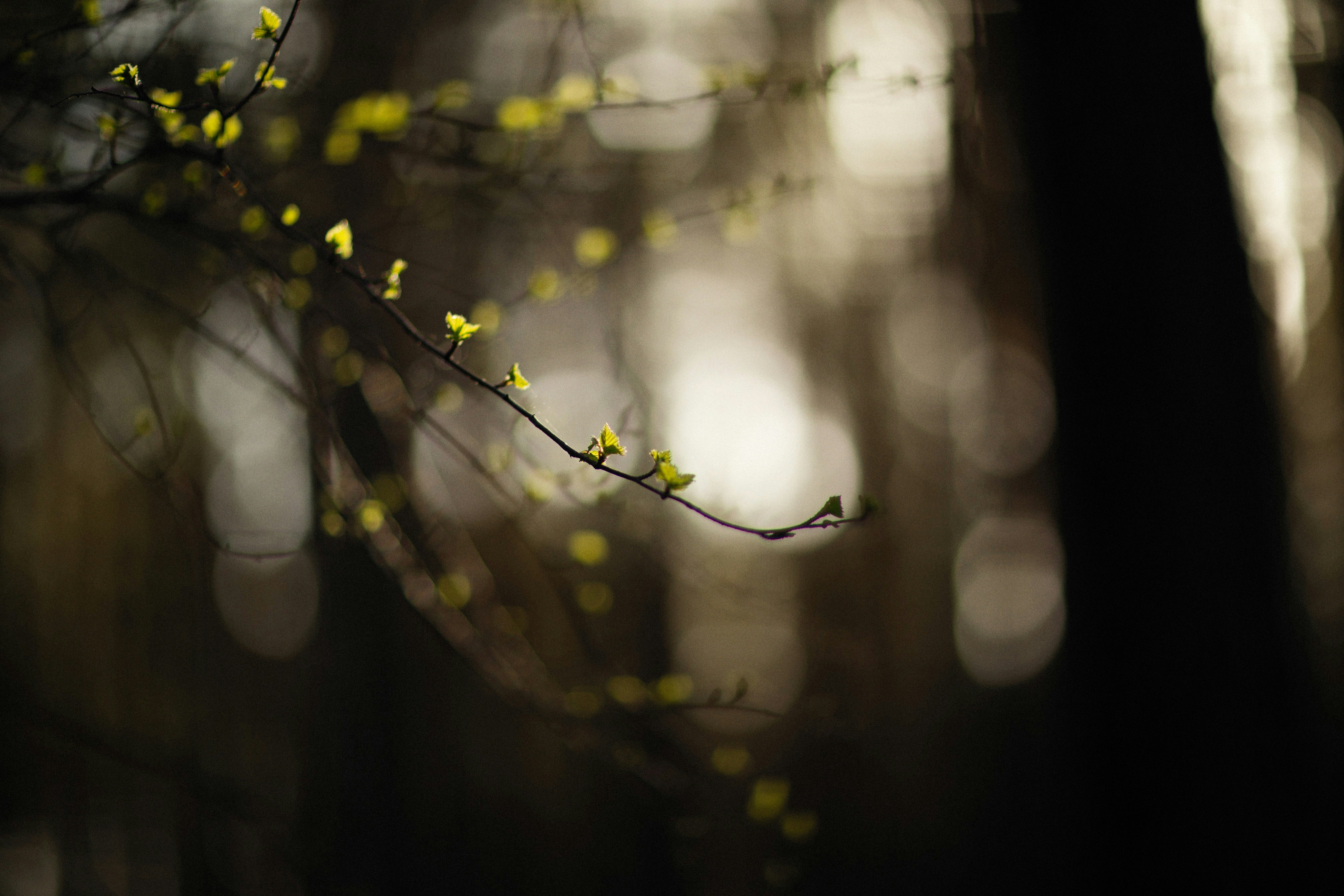 Photo by alexeydemidov